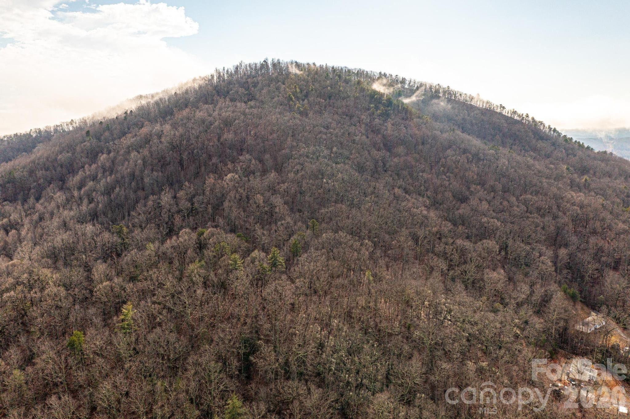 0 Hildebran Mountain Avenue Property Photo 12