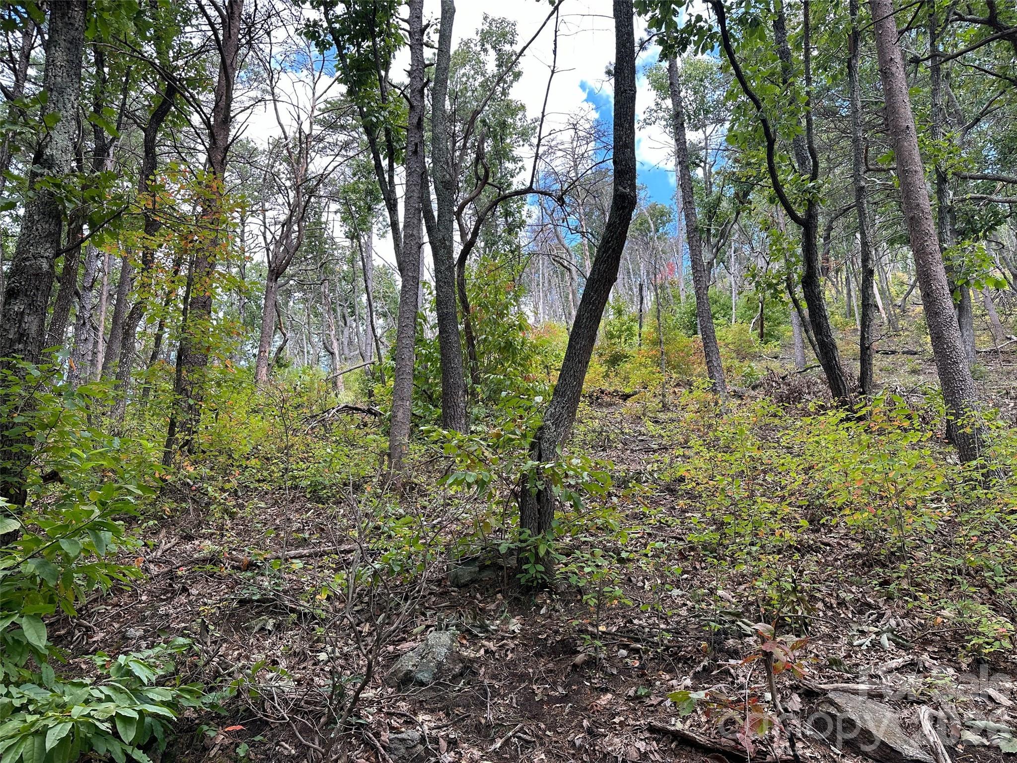 0 Hildebran Mountain Avenue Property Photo 13