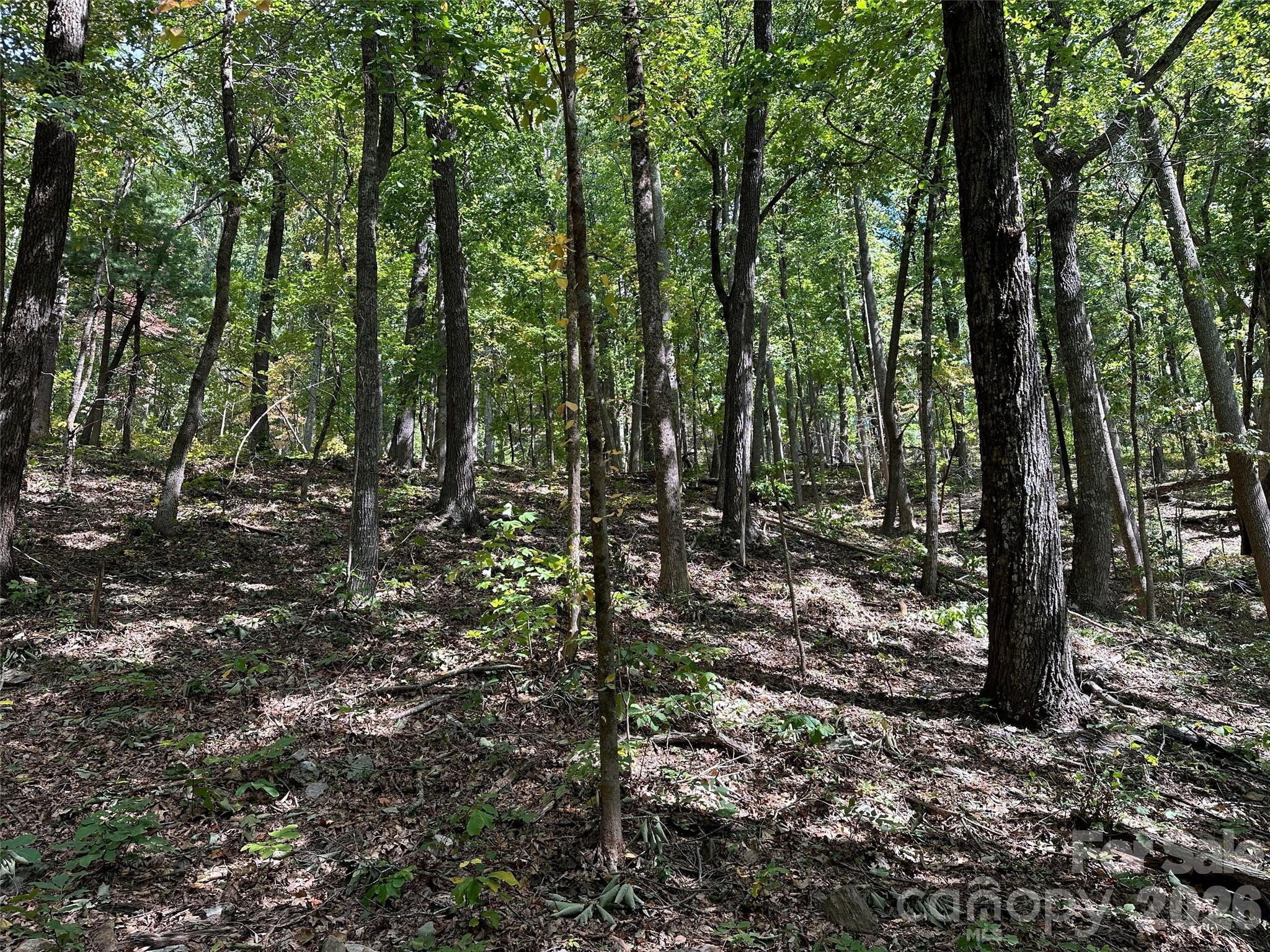 0 Hildebran Mountain Avenue Property Photo 15