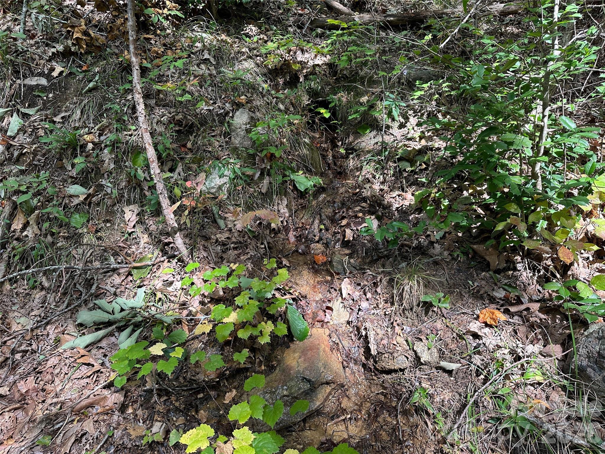 0 Hildebran Mountain Avenue Property Photo 16
