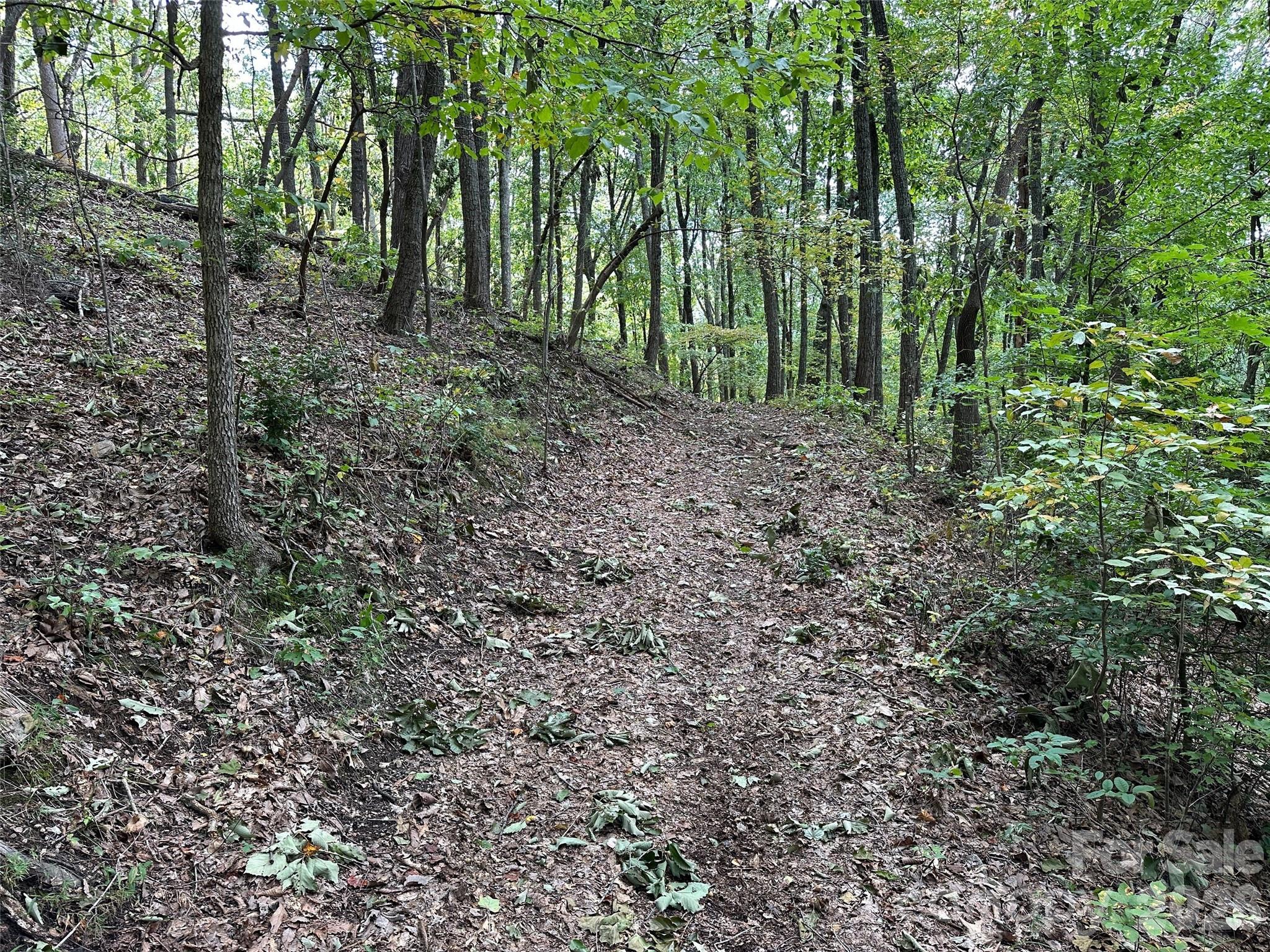 0 Hildebran Mountain Avenue Property Photo 17