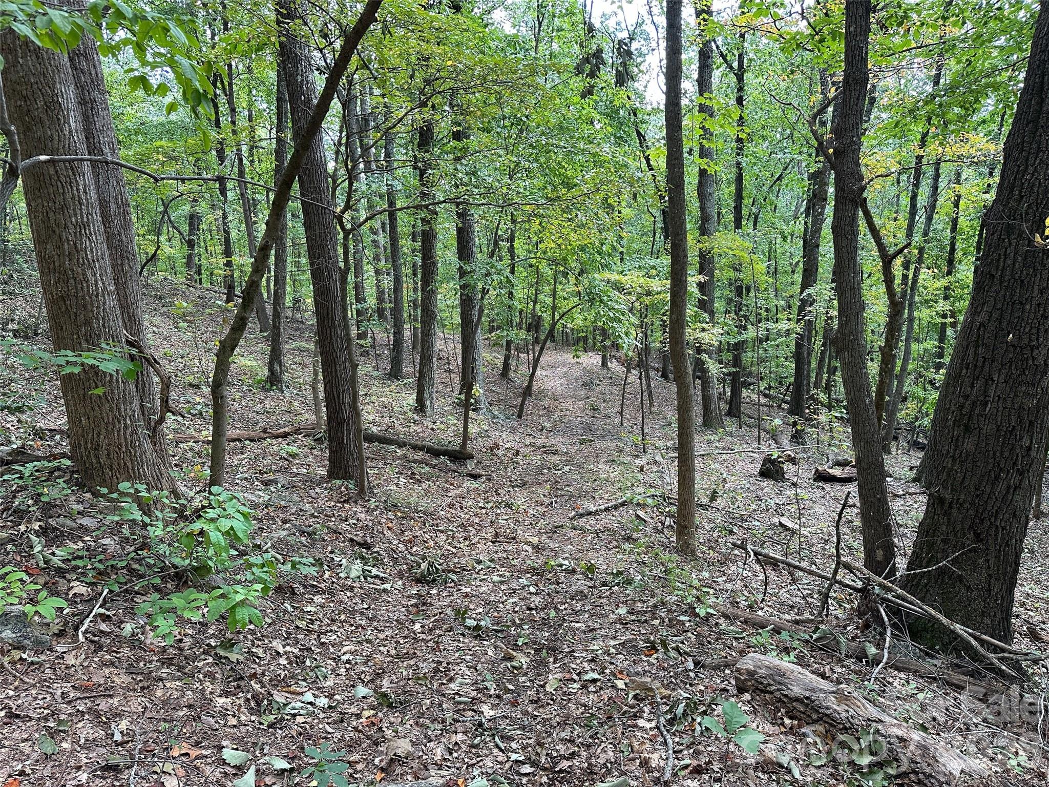 0 Hildebran Mountain Avenue Property Photo 18