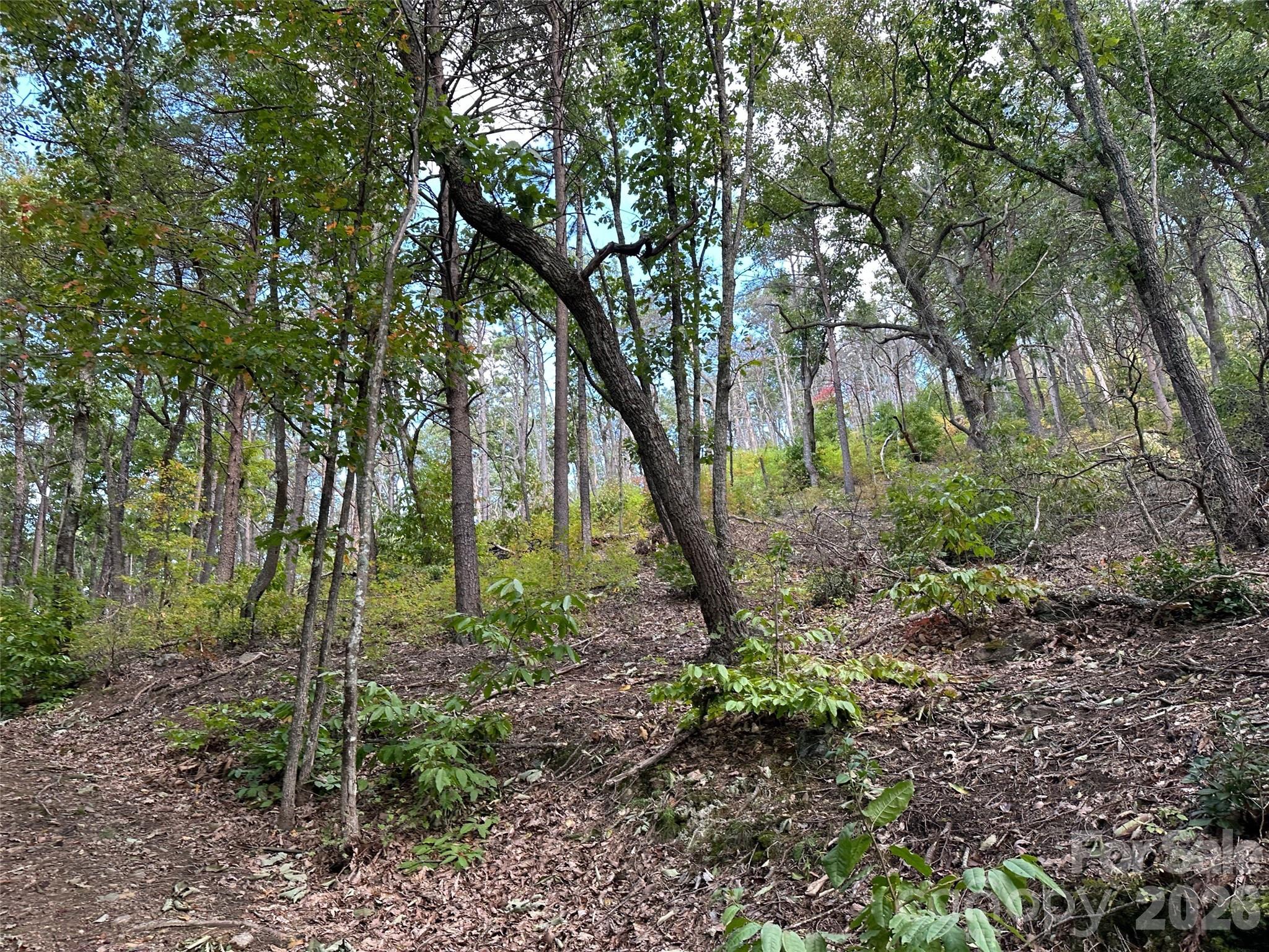 0 Hildebran Mountain Avenue Property Photo 19