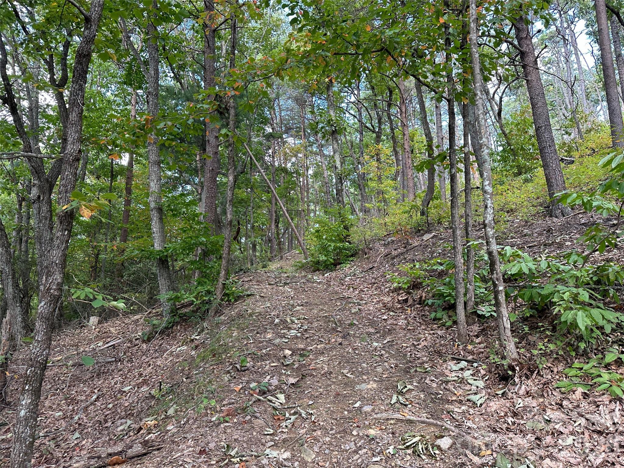 0 Hildebran Mountain Avenue Property Photo 21