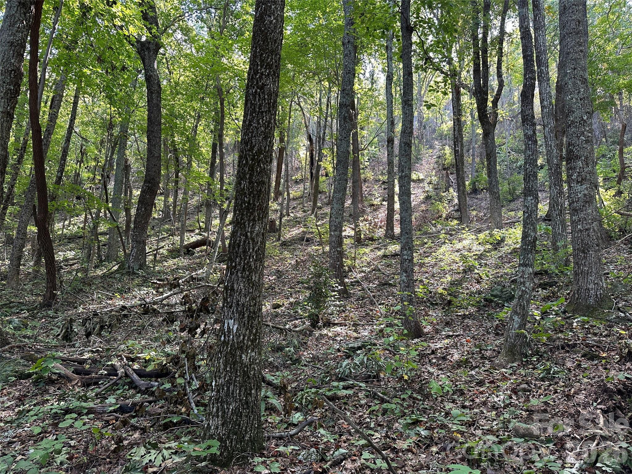 0 Hildebran Mountain Avenue Property Photo 22