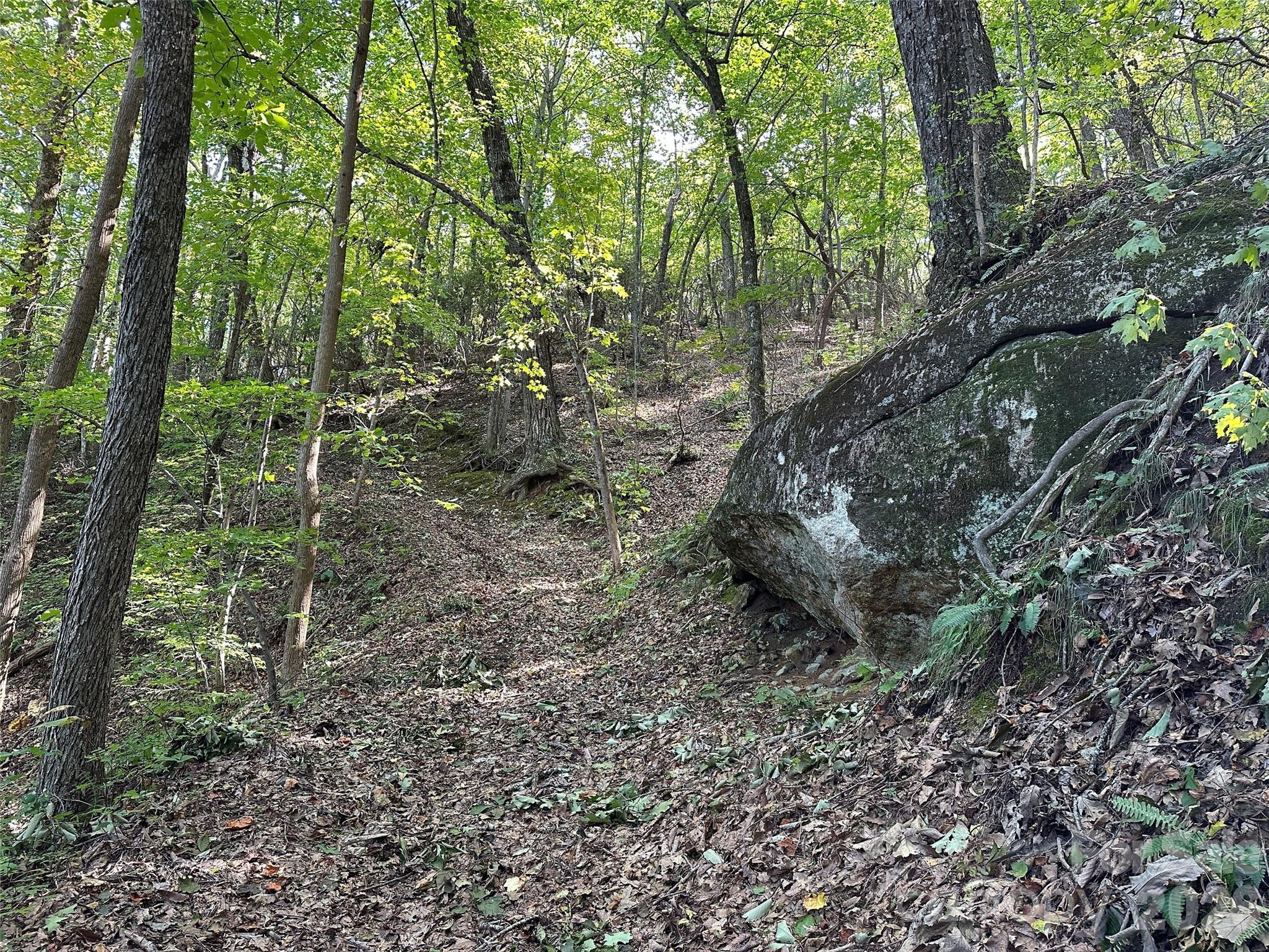 0 Hildebran Mountain Avenue Property Photo 23