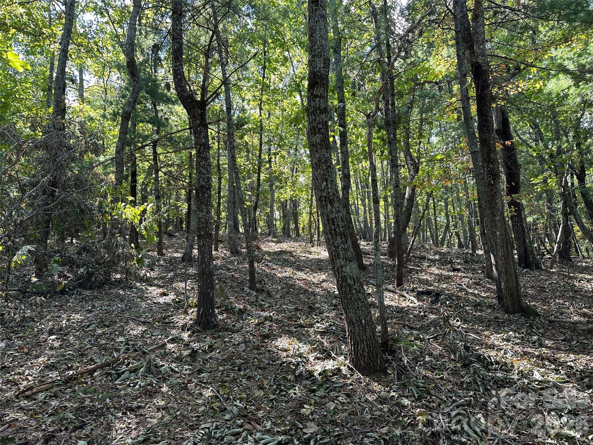0 Hildebran Mountain Avenue Property Photo 24