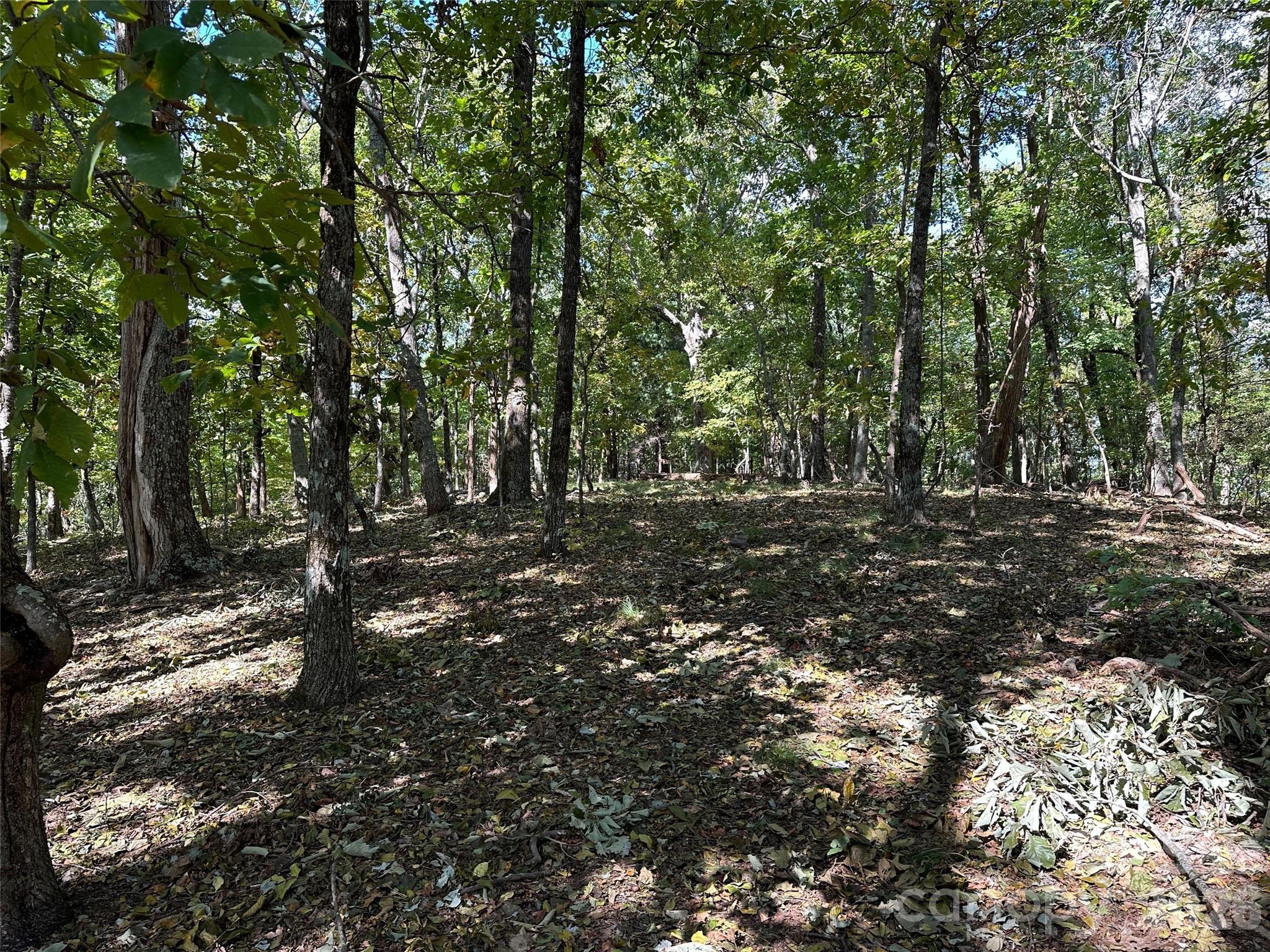 0 Hildebran Mountain Avenue Property Photo 25