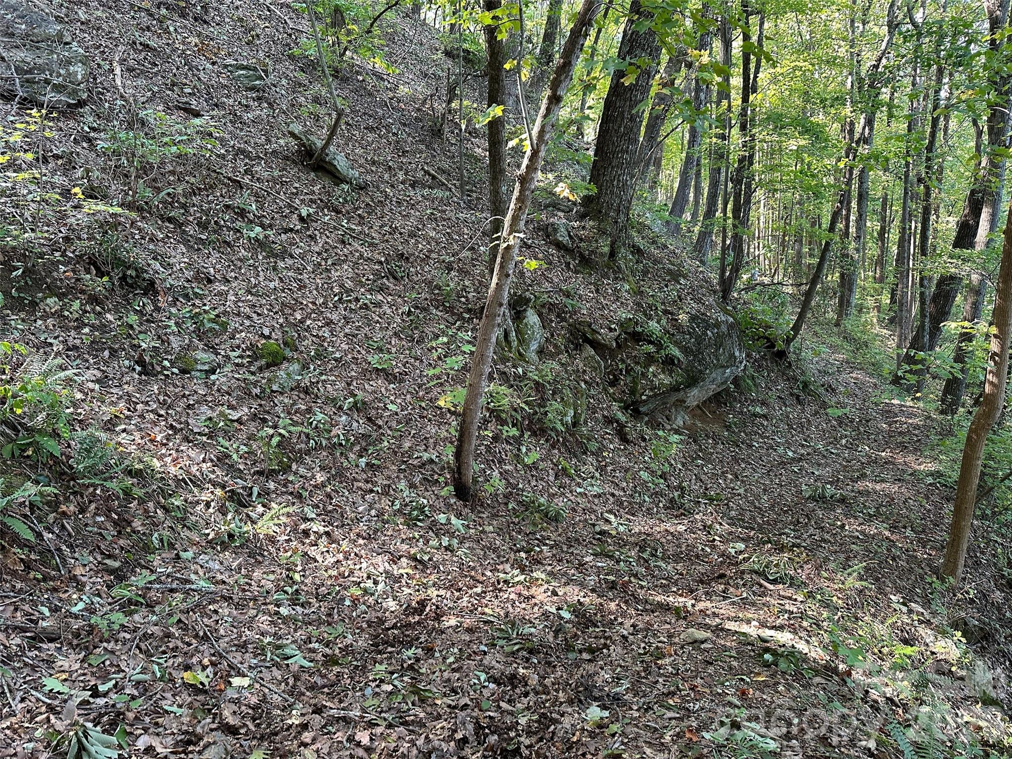 0 Hildebran Mountain Avenue Property Photo 26