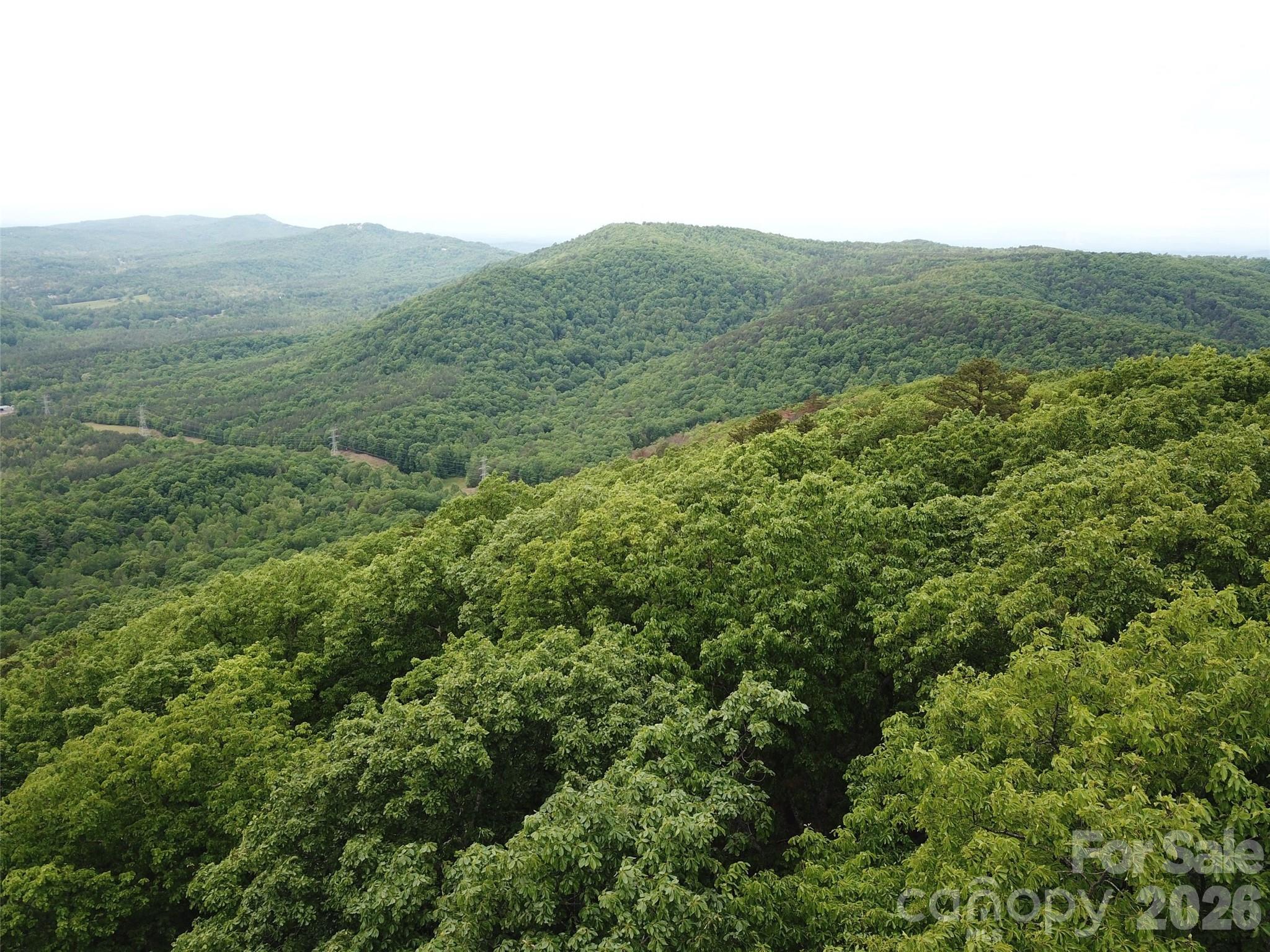 0 Hildebran Mountain Avenue Property Photo 27
