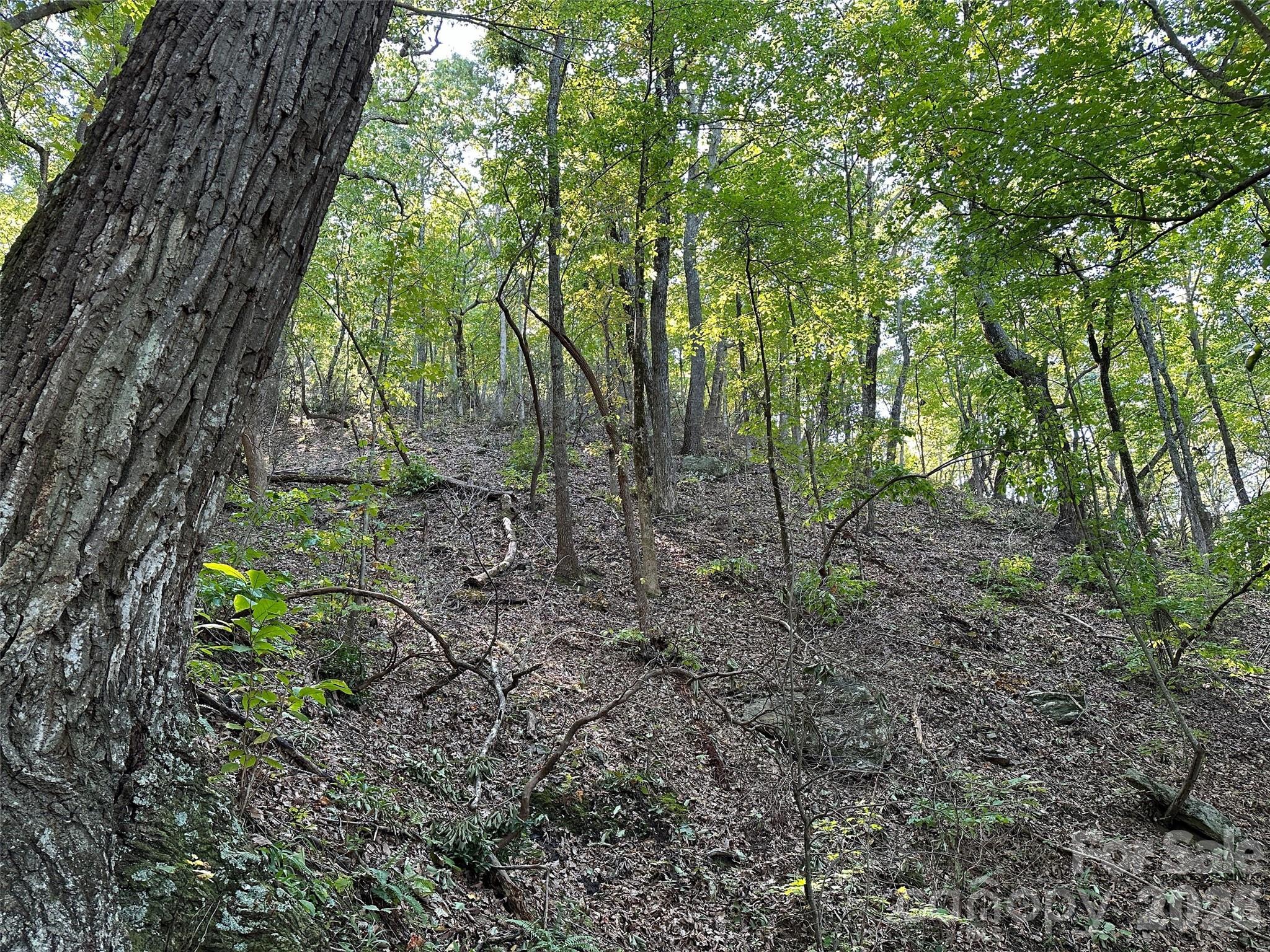0 Hildebran Mountain Avenue Property Photo 28