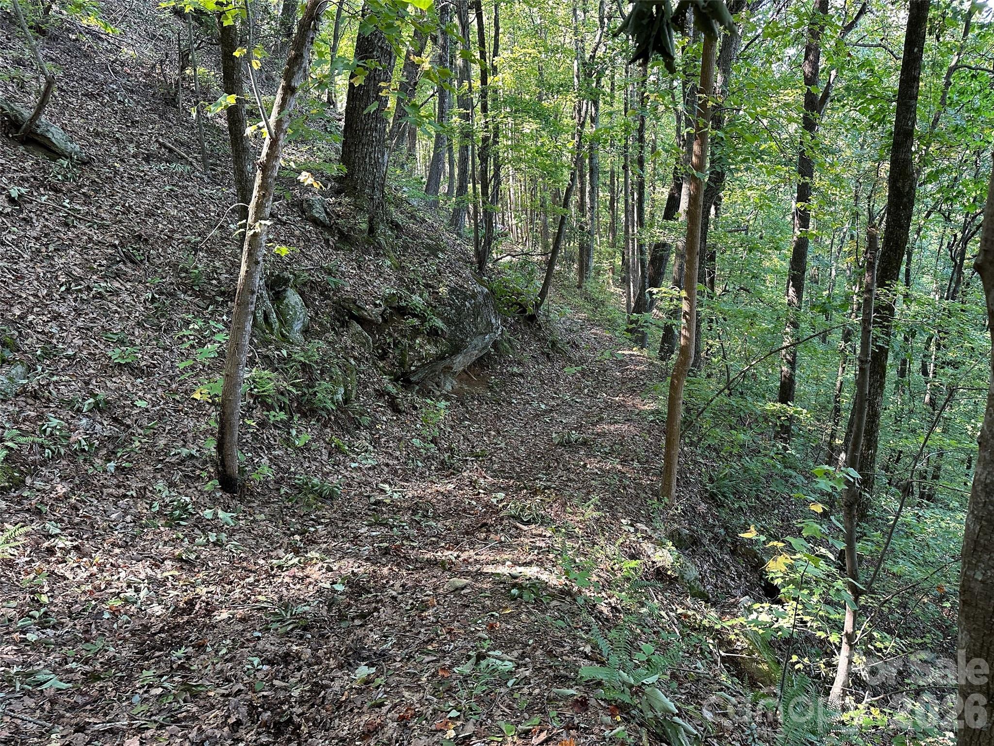 0 Hildebran Mountain Avenue Property Photo 29