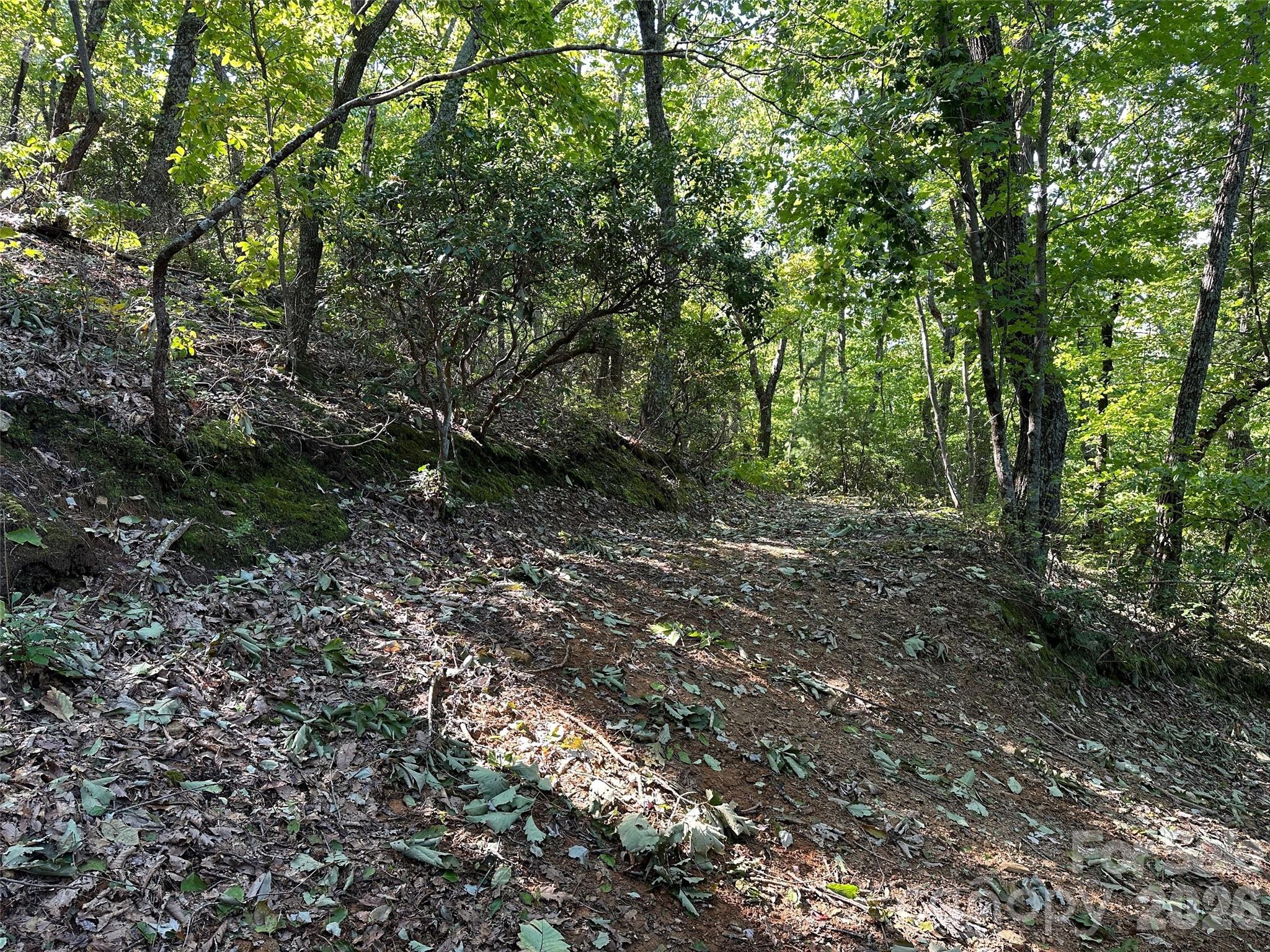 0 Hildebran Mountain Avenue Property Photo 30