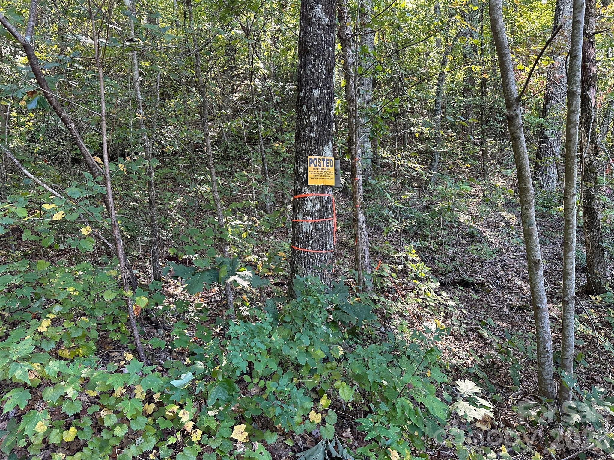 0 Hildebran Mountain Avenue Property Photo 31