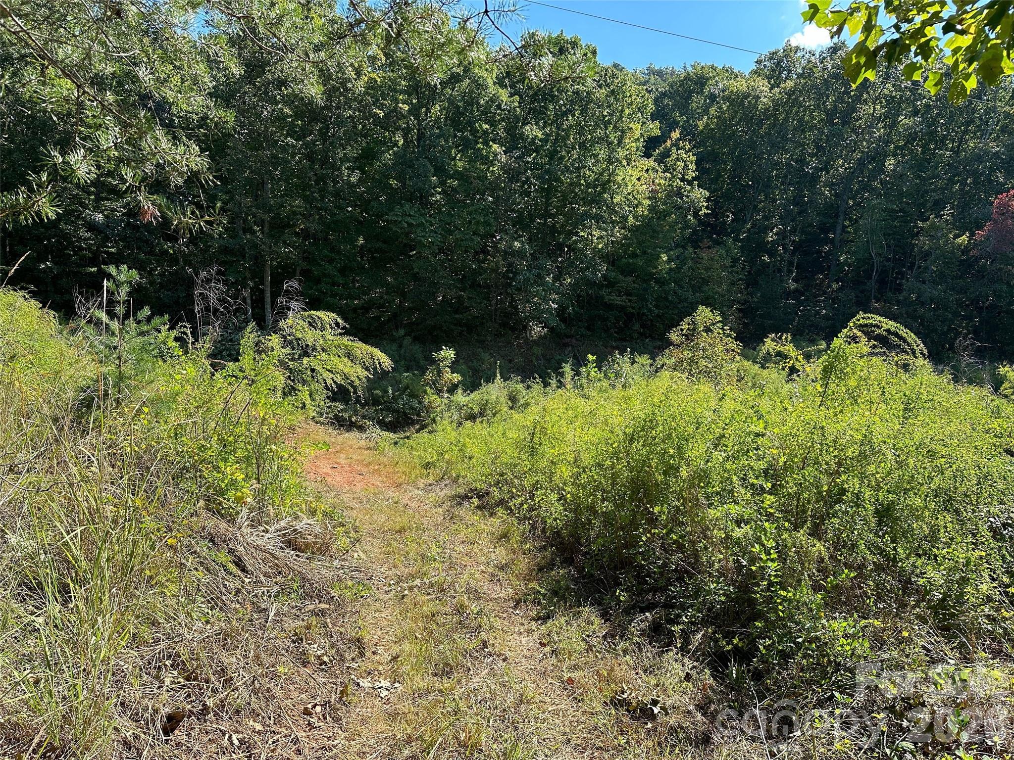 0 Hildebran Mountain Avenue Property Photo 32