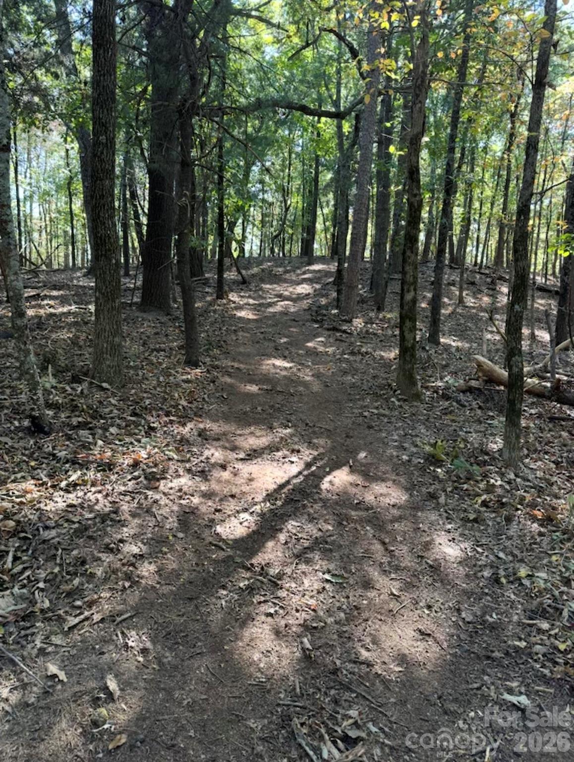 0 Hildebran Mountain Avenue Property Photo 34