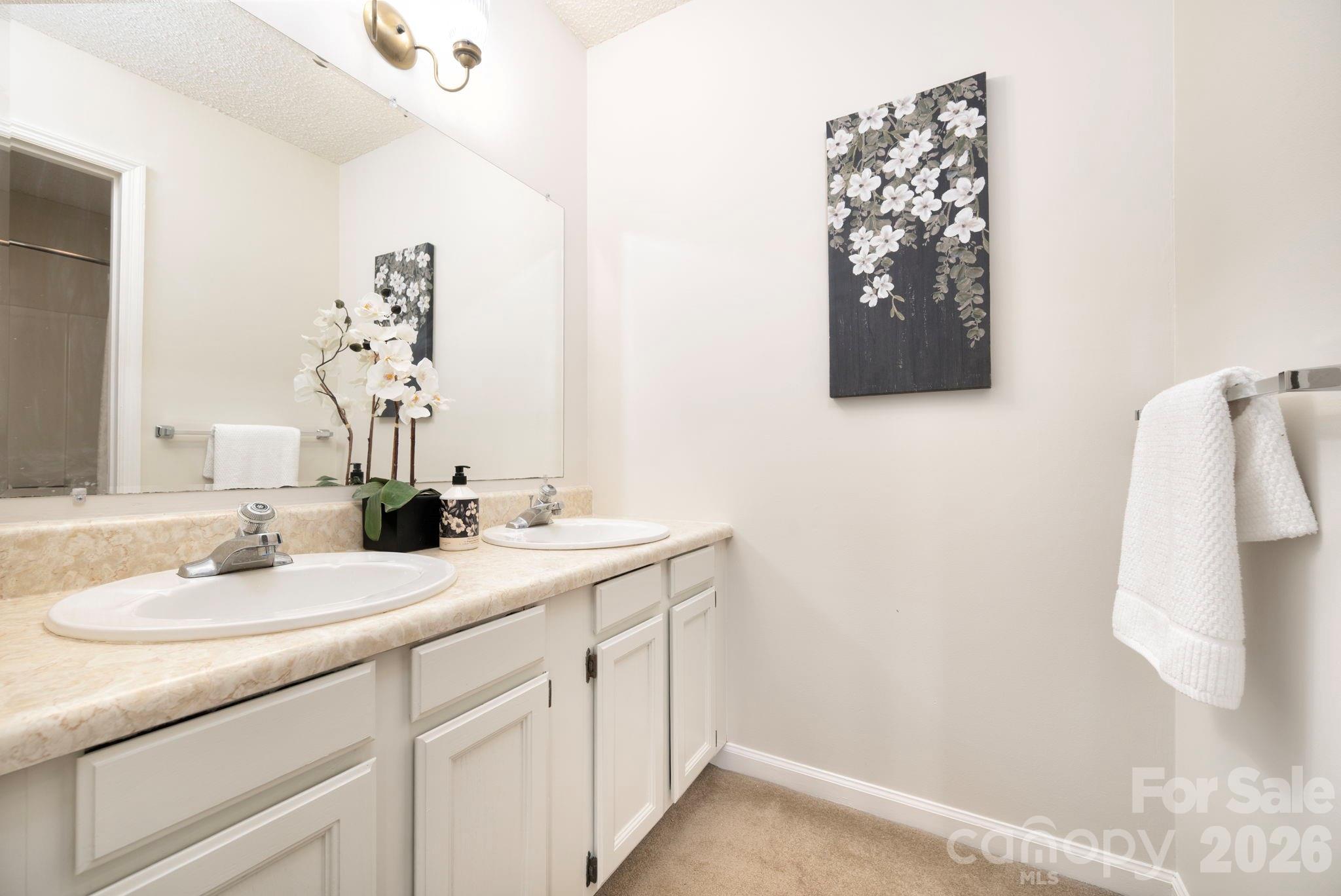 107 Ballantree Drive Property Photo 29