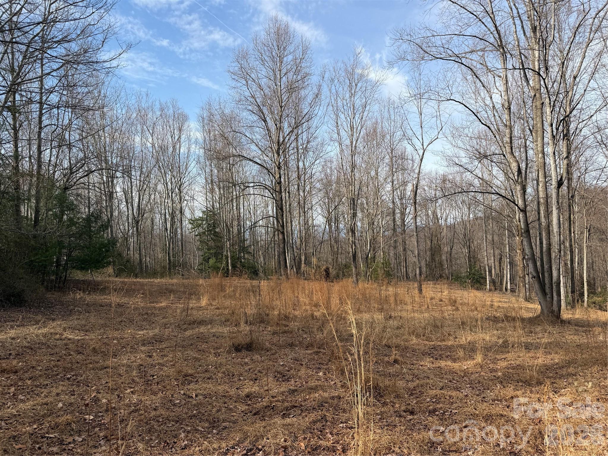 Tbd W Meadows Road Property Photo 12