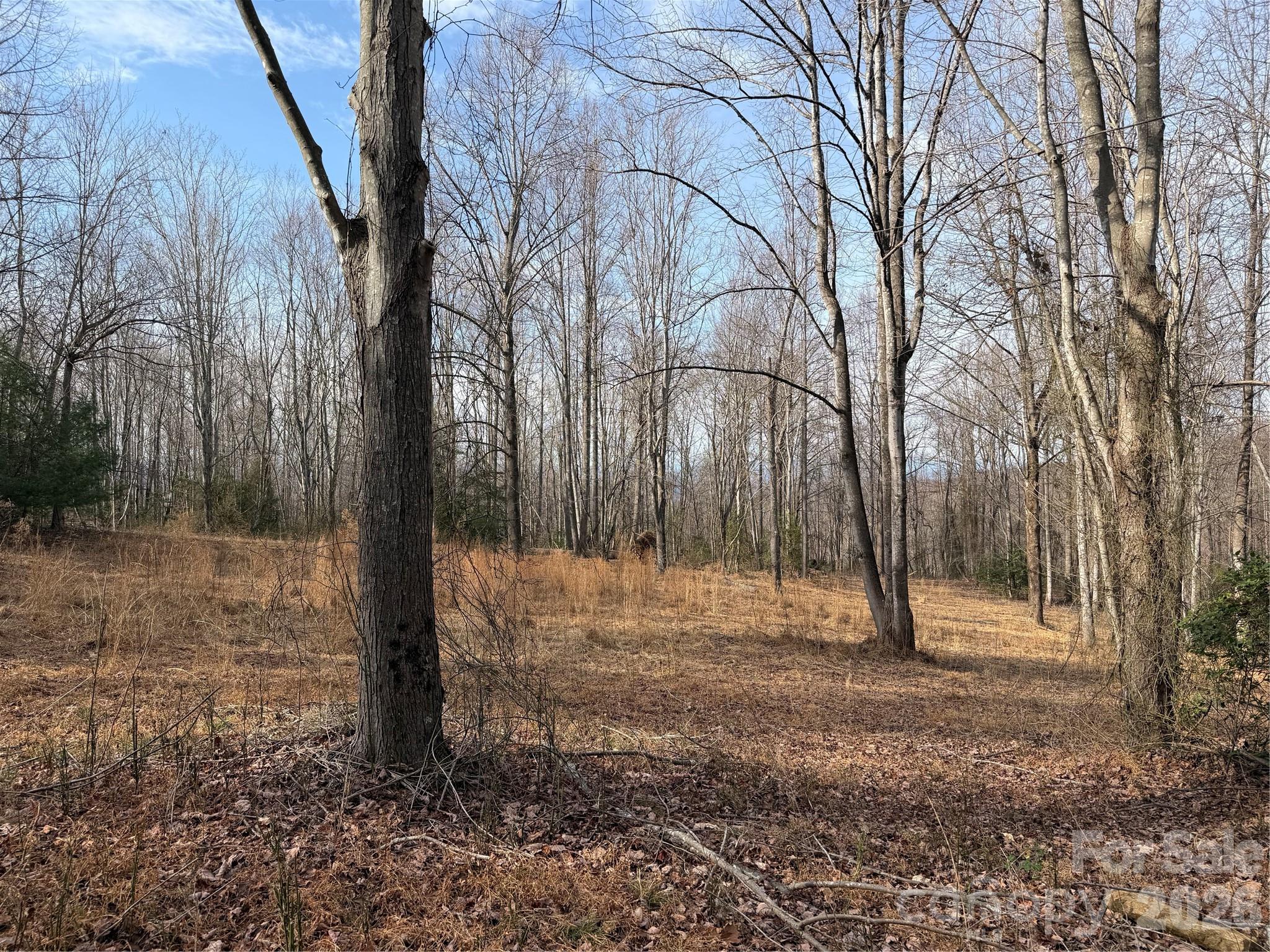 Tbd W Meadows Road Property Photo 13