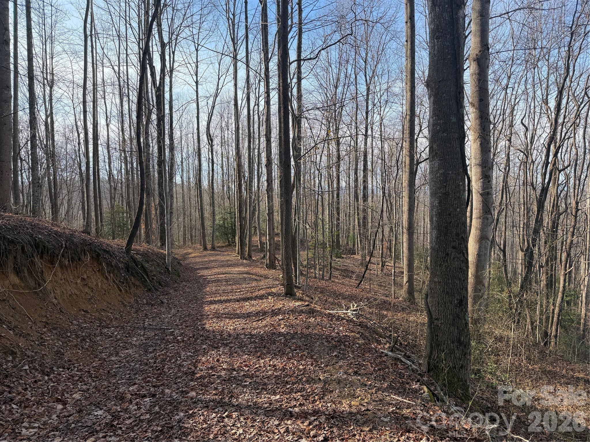 Tbd W Meadows Road Property Photo 15