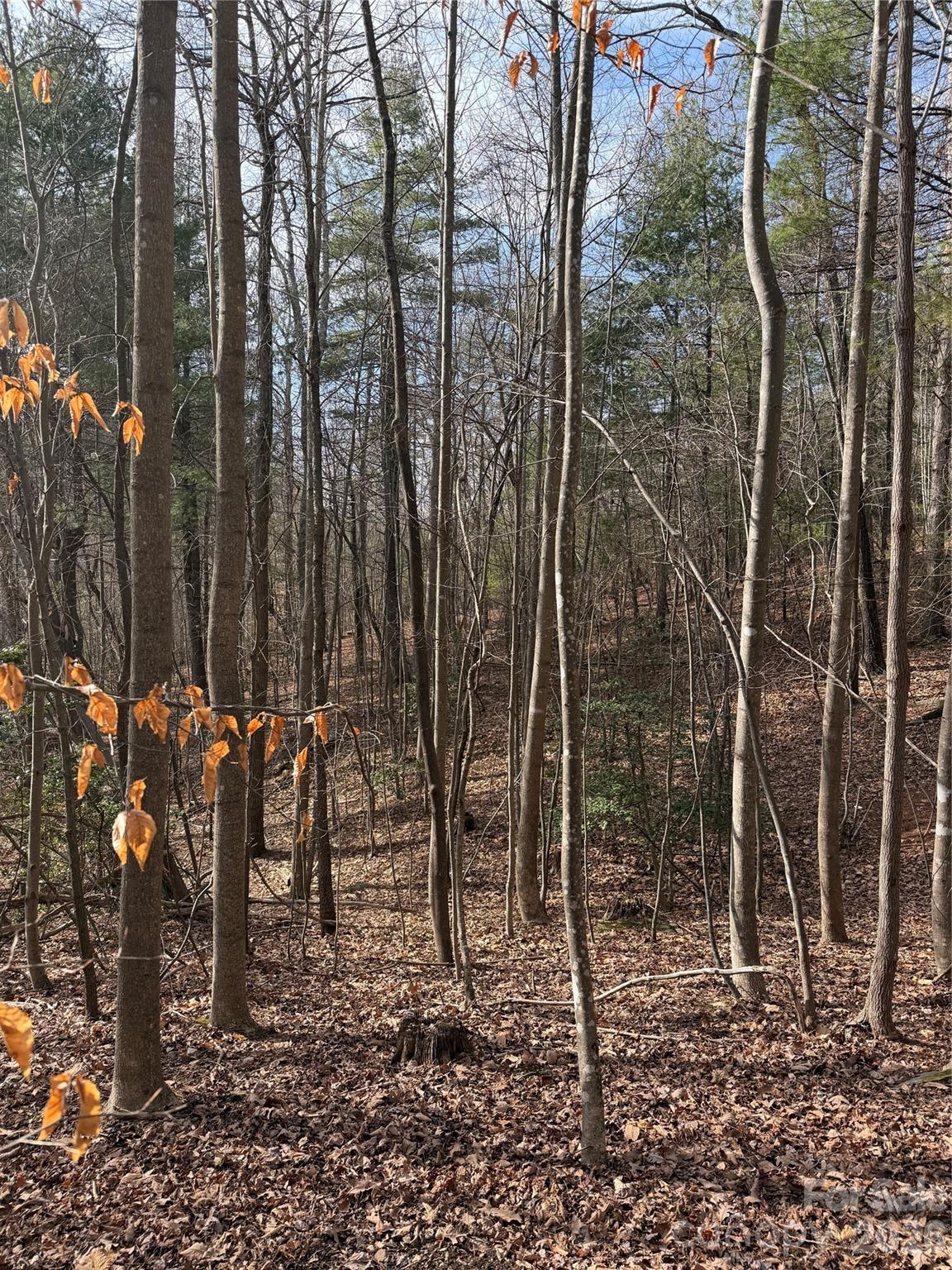 Tbd W Meadows Road Property Photo 21