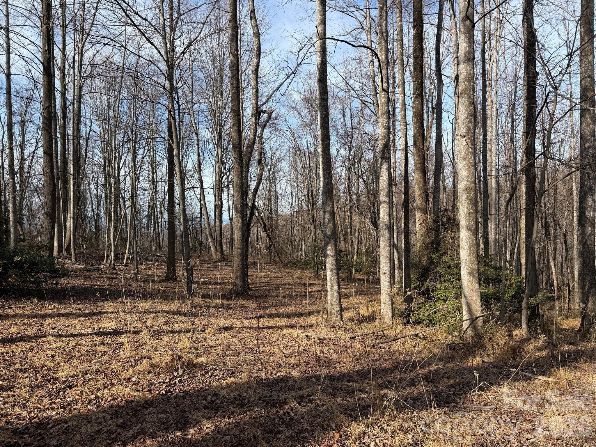 Tbd W Meadows Road Property Photo 22
