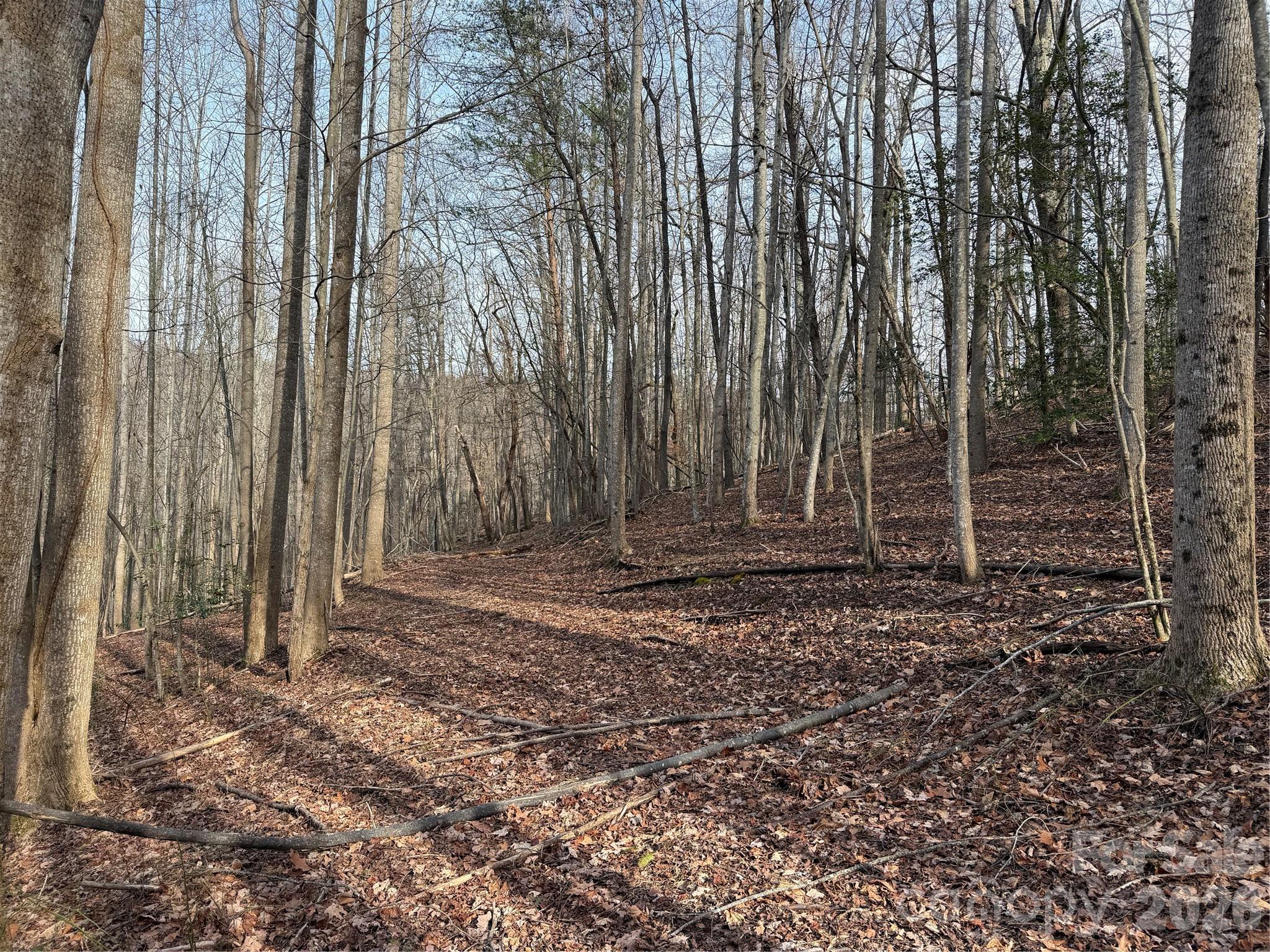 Tbd W Meadows Road Property Photo 23