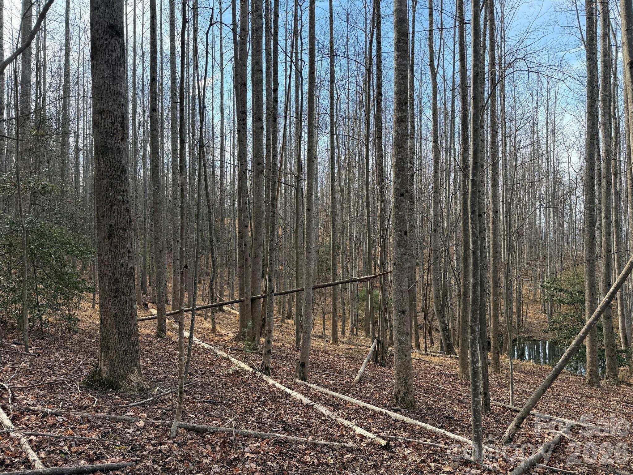 Tbd W Meadows Road Property Photo 25