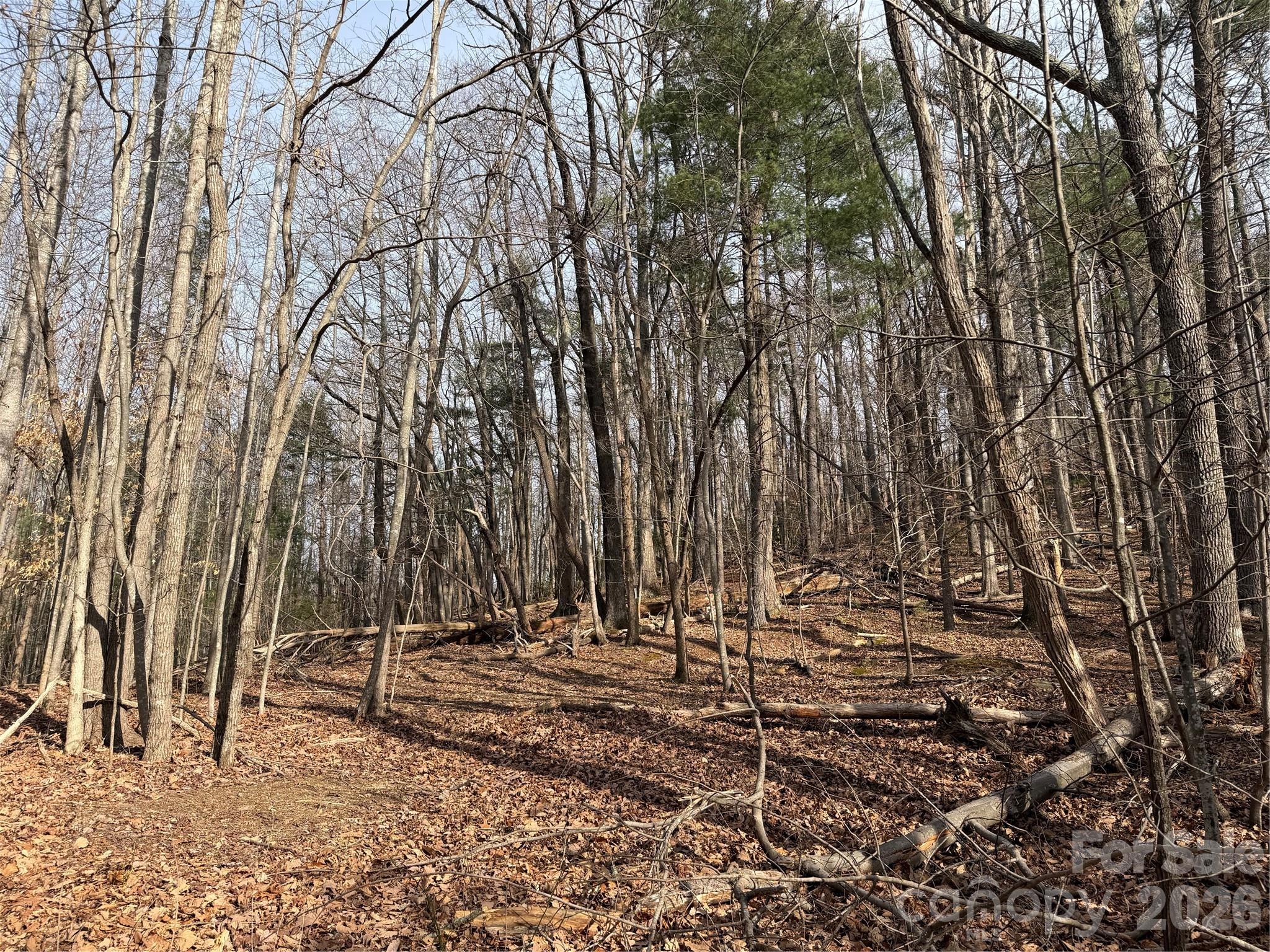 Tbd W Meadows Road Property Photo 27