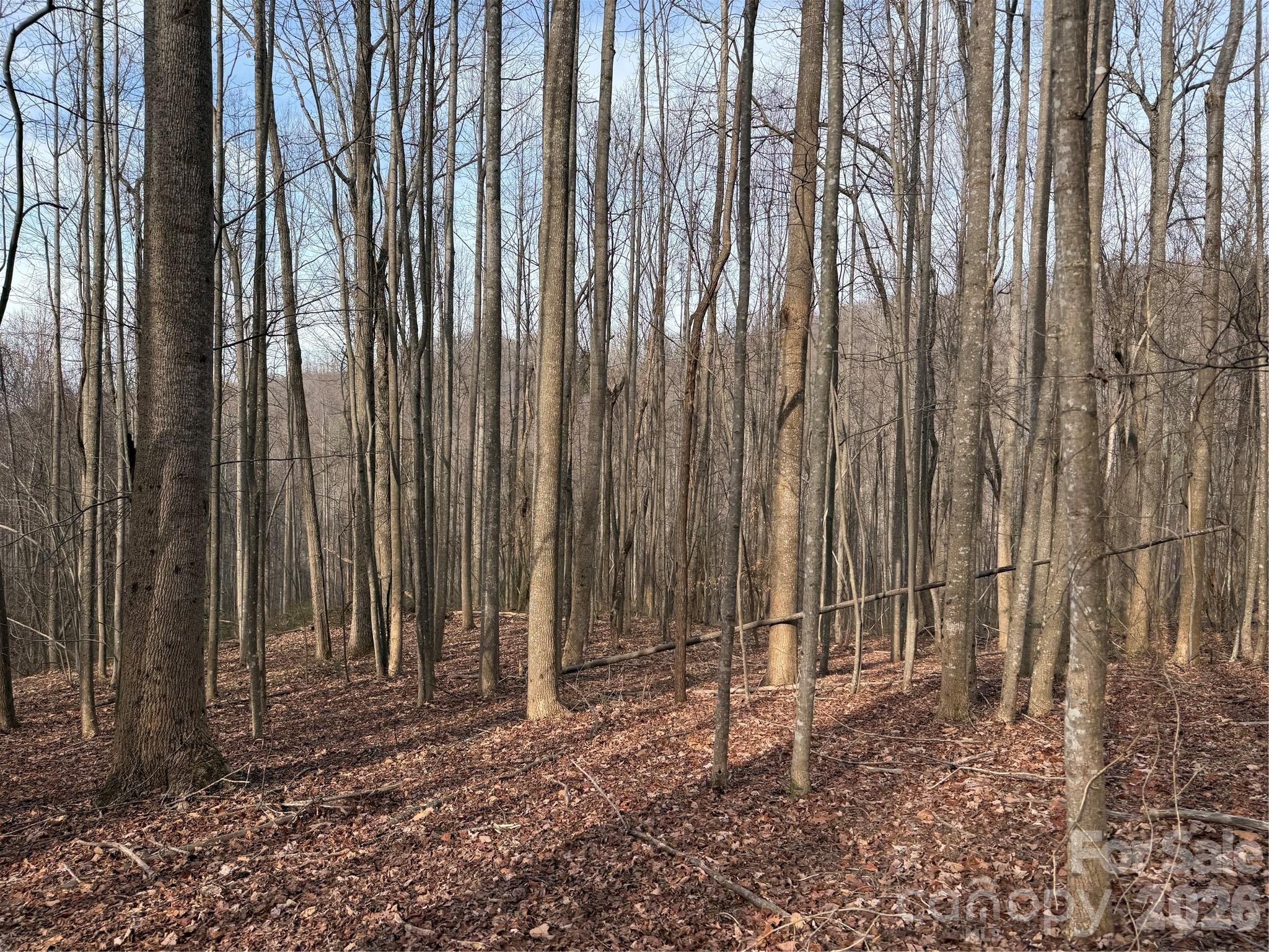 Tbd W Meadows Road Property Photo 31
