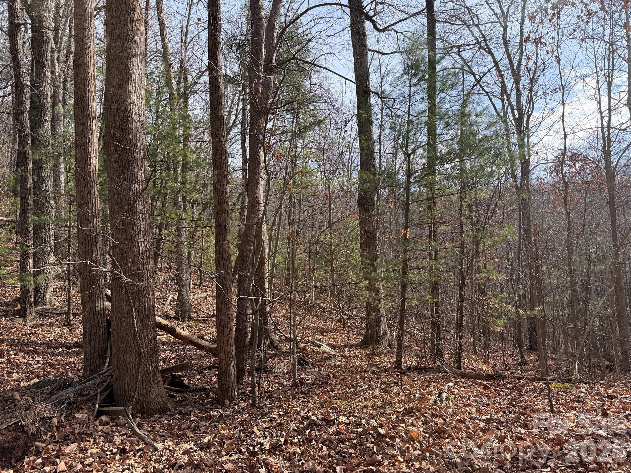 Tbd W Meadows Road Property Photo 32