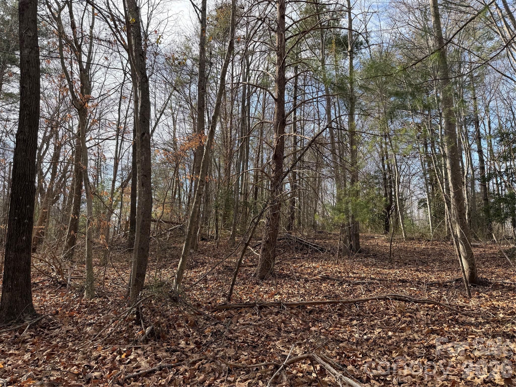 Tbd W Meadows Road Property Photo 33