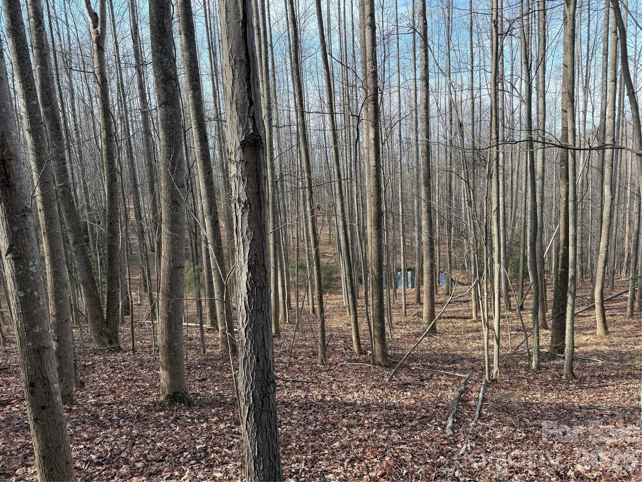 Tbd W Meadows Road Property Photo 34