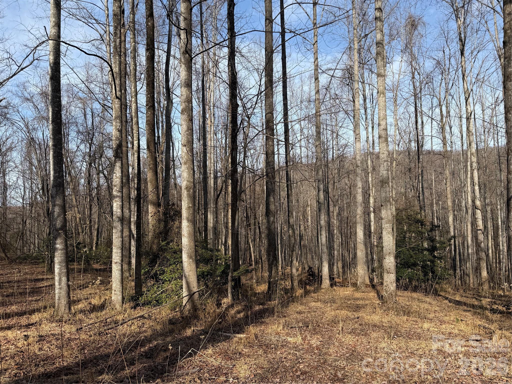 Tbd W Meadows Road Property Photo 35