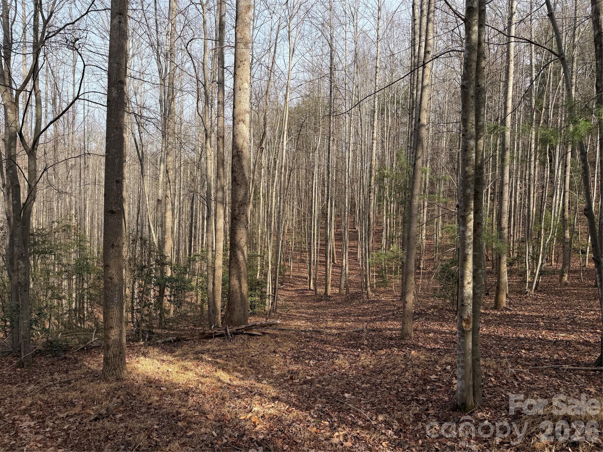 Tbd W Meadows Road Property Photo 36