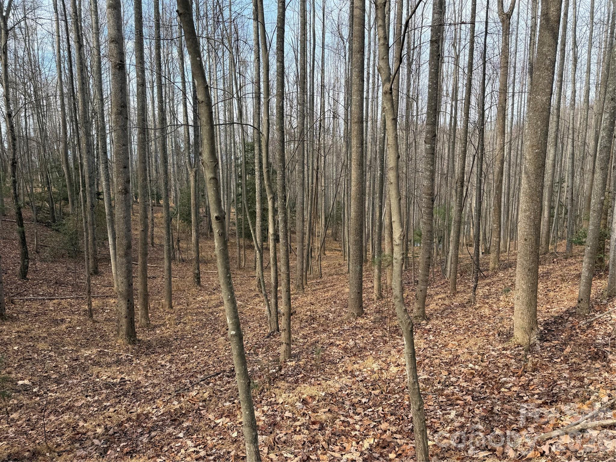 Tbd W Meadows Road Property Photo 37