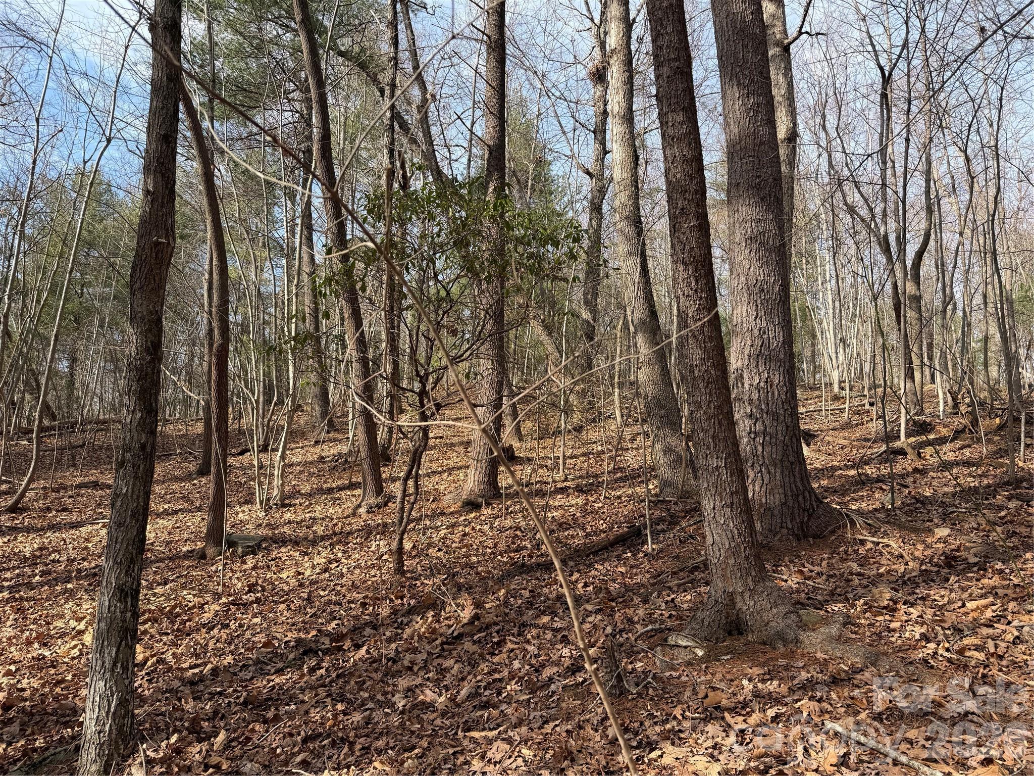 Tbd W Meadows Road Property Photo 39