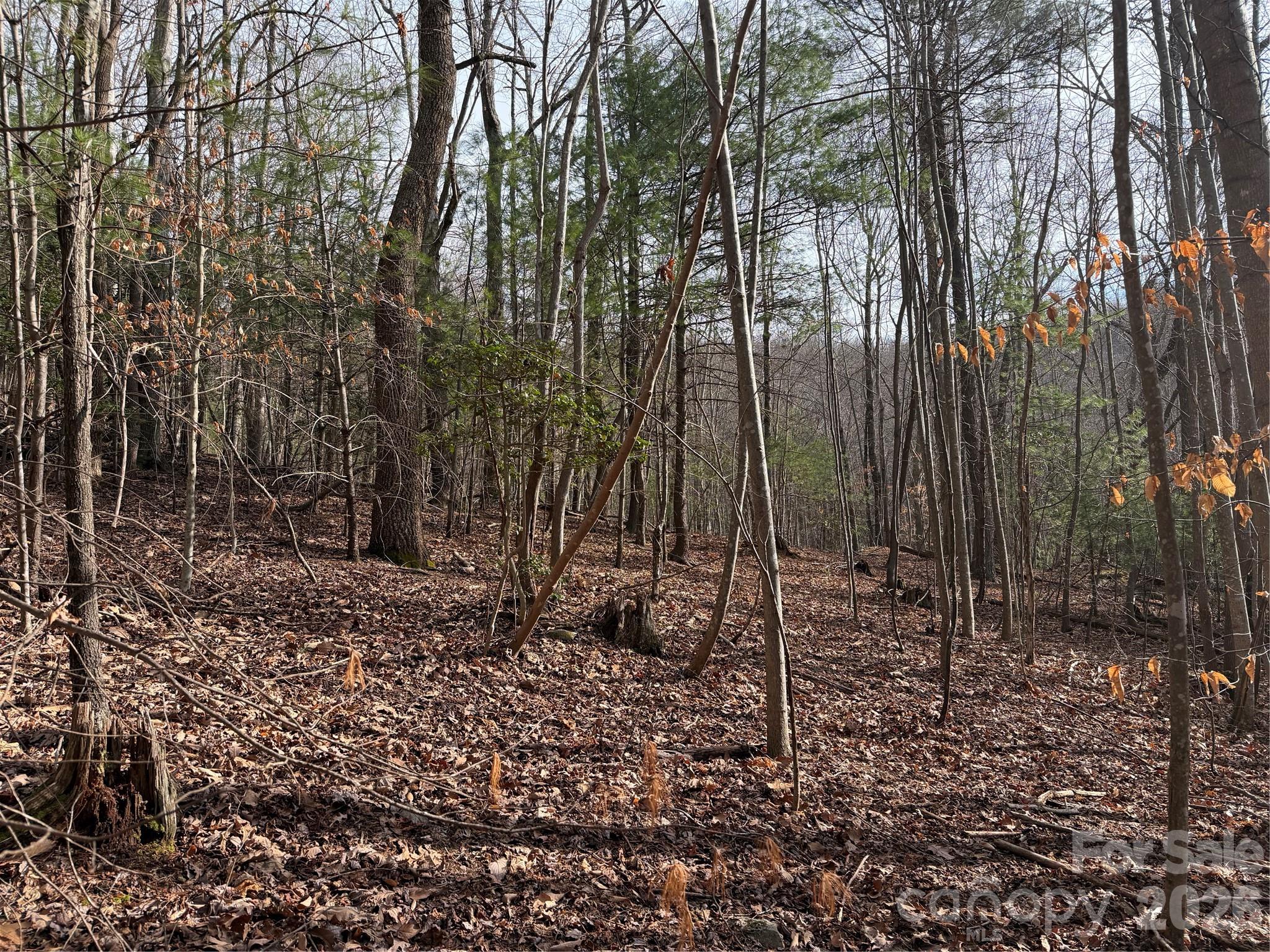 Tbd W Meadows Road Property Photo 40