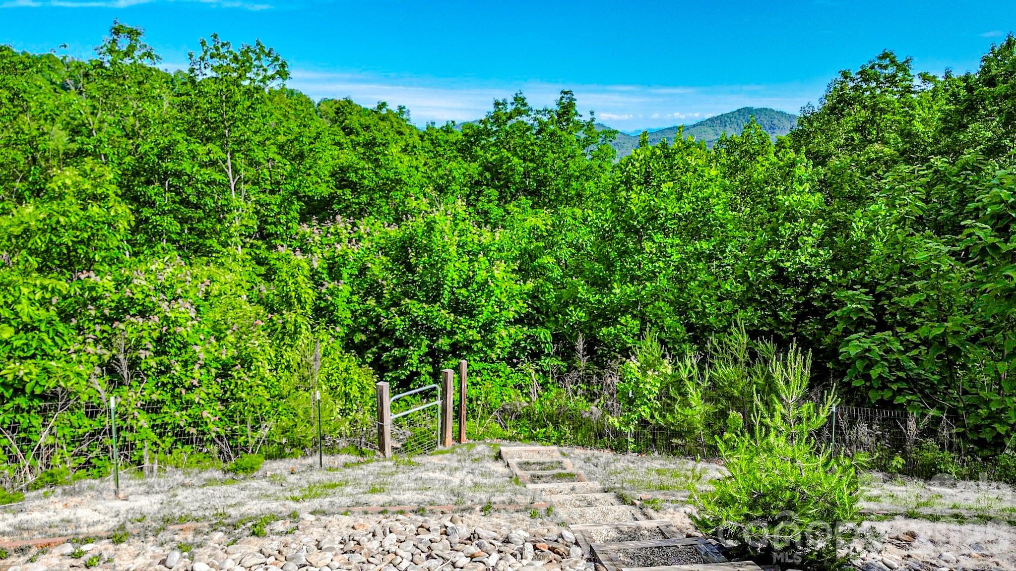 485 Mountain Lookout Drive Property Photo 43