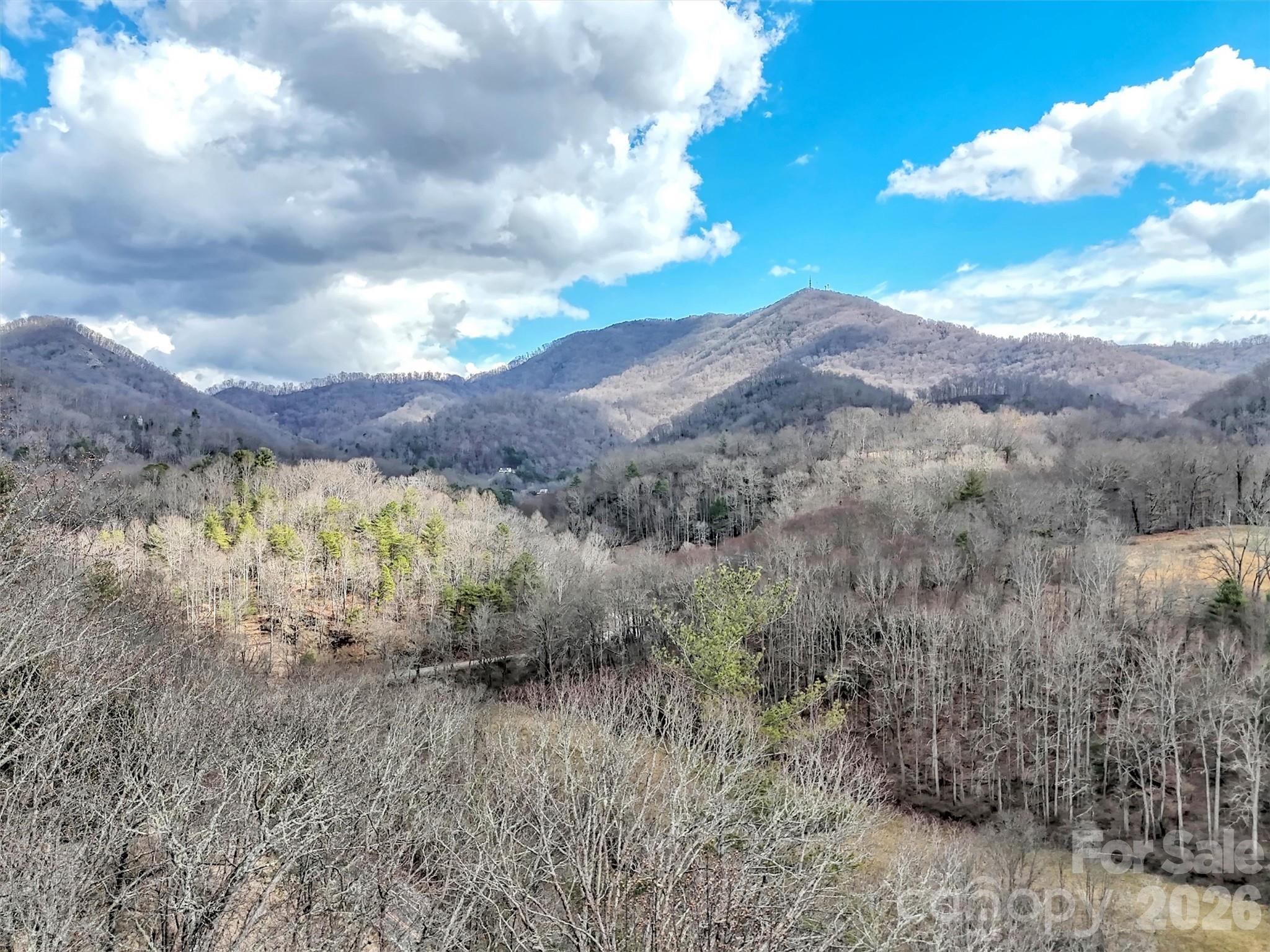 109 Paradise Circle Property Photo 47