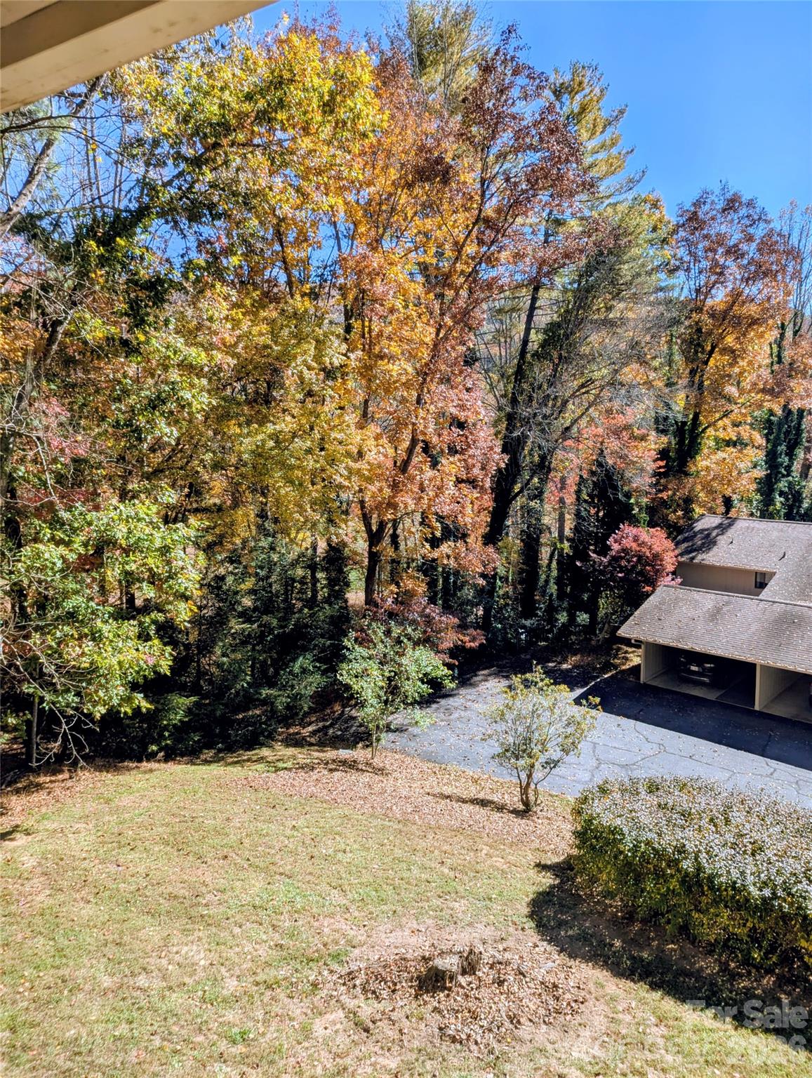 1813 Glen Cannon Drive Property Photo 3
