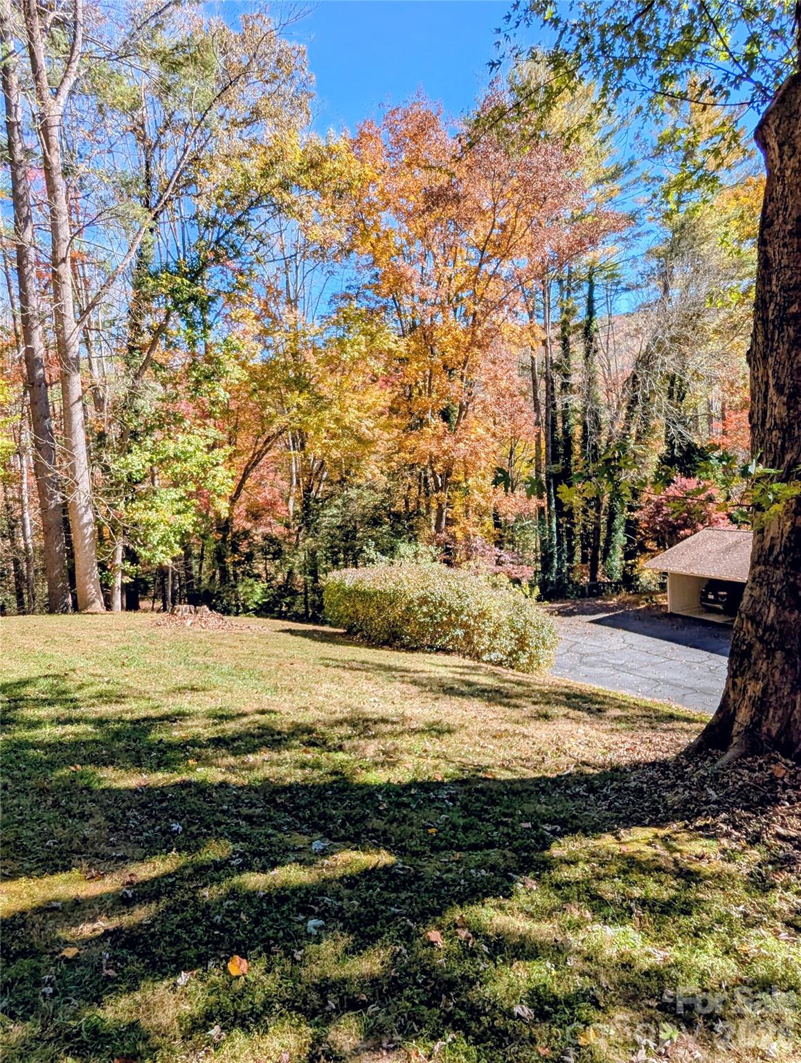 1813 Glen Cannon Drive Property Photo 4