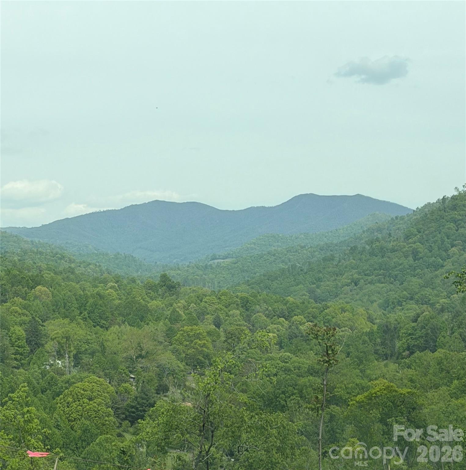 1306 Fork Mountain Road Property Photo 32