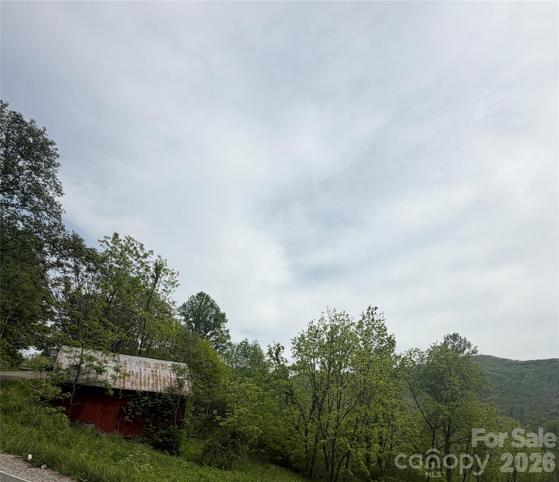 1306 Fork Mountain Road Property Photo 33