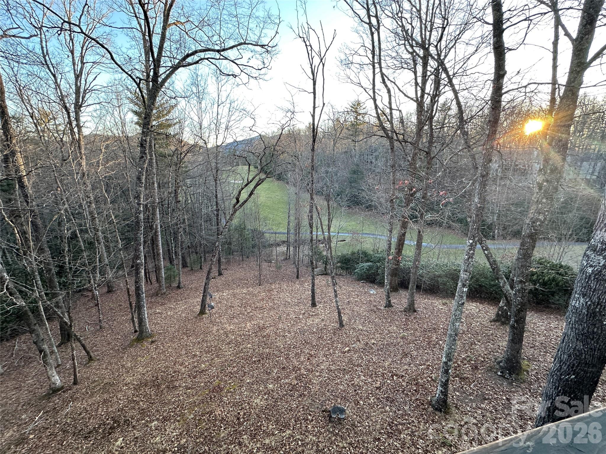 94 Blackberry Trail Property Photo 4