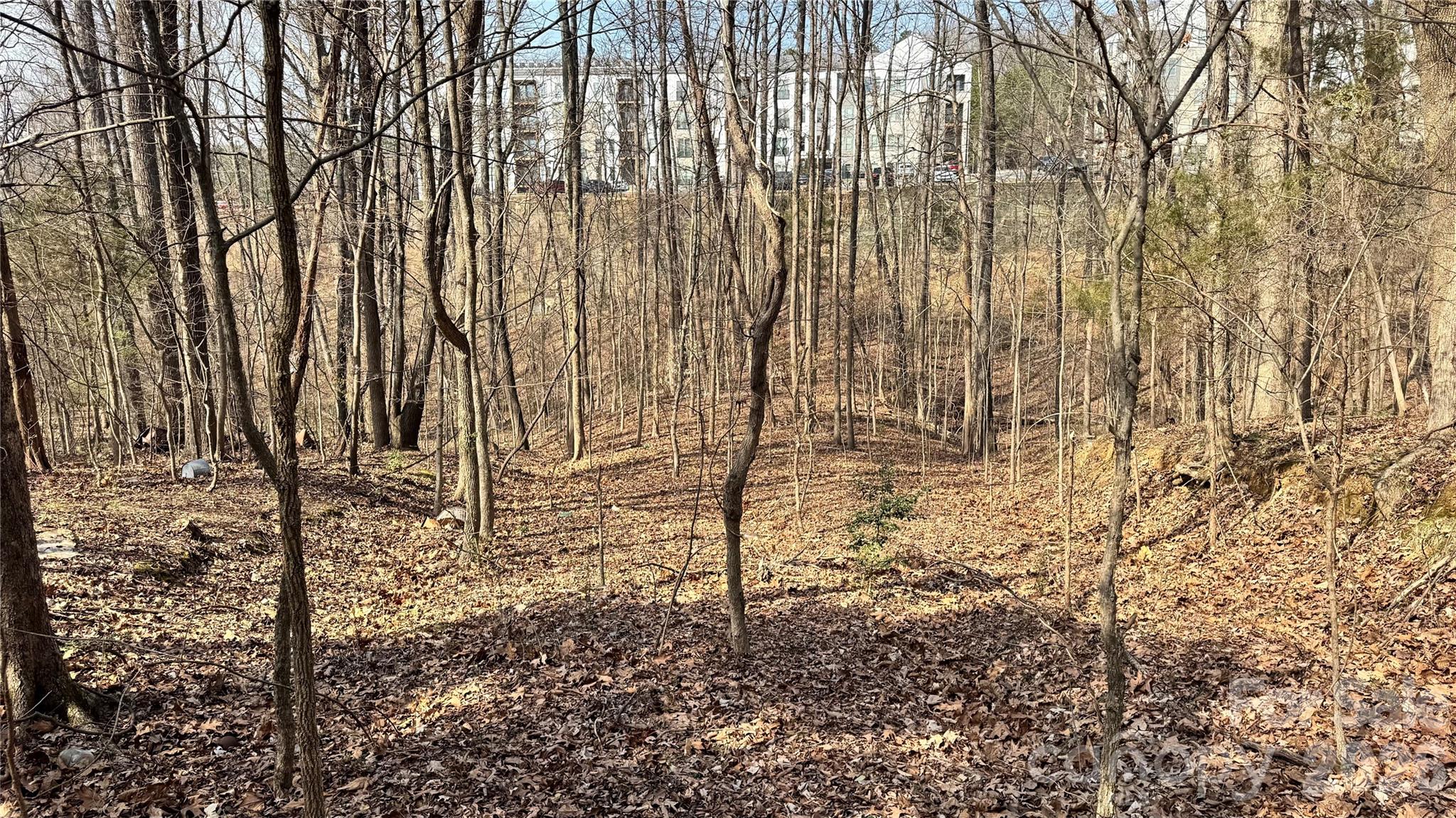 9201 Legranger Road Property Photo 2