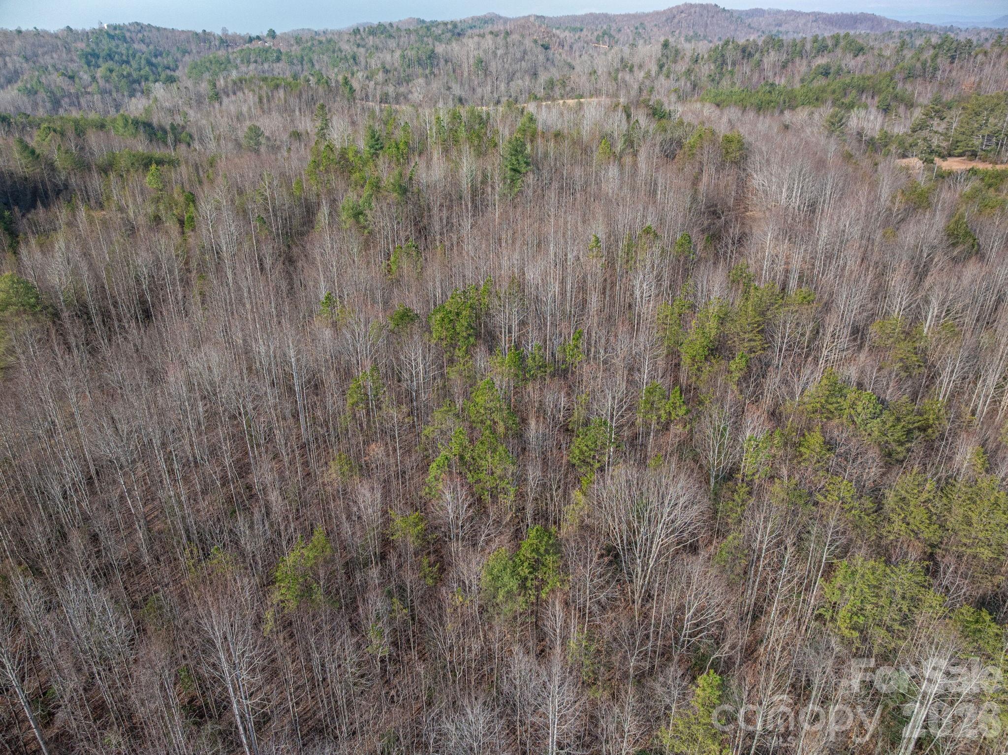 2091 Fork Creek Place Property Photo 14