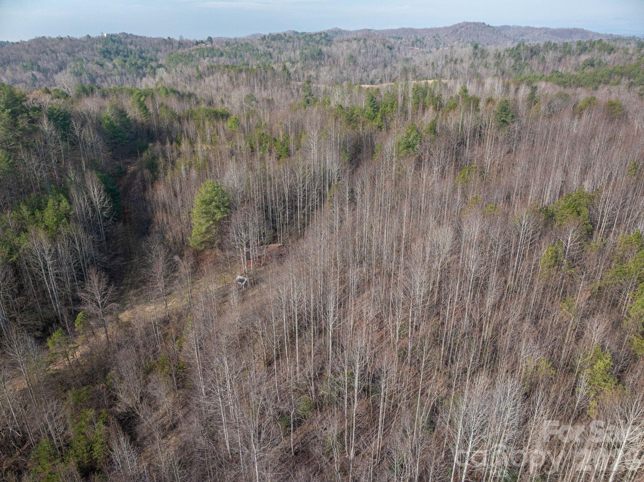 2091 Fork Creek Place Property Photo 15