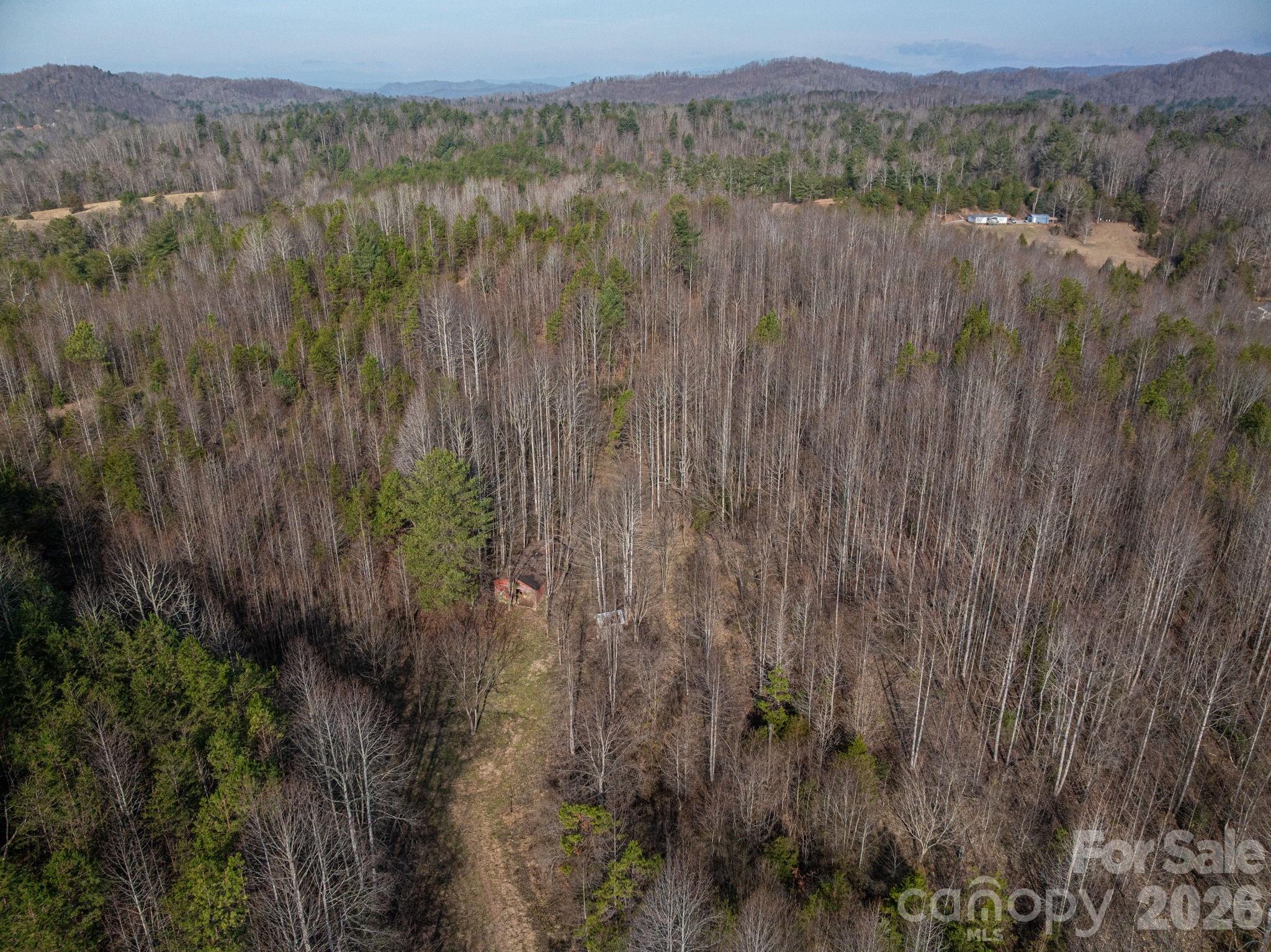 2091 Fork Creek Place Property Photo 16