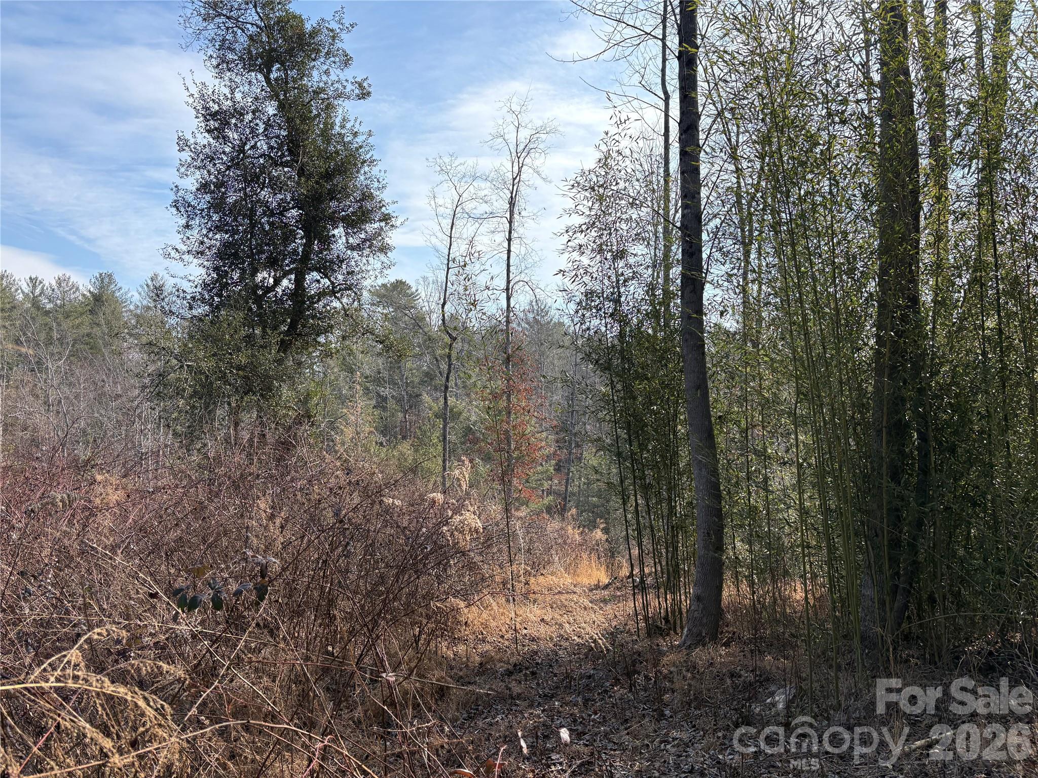 120 Shamrock Circle Property Photo 1